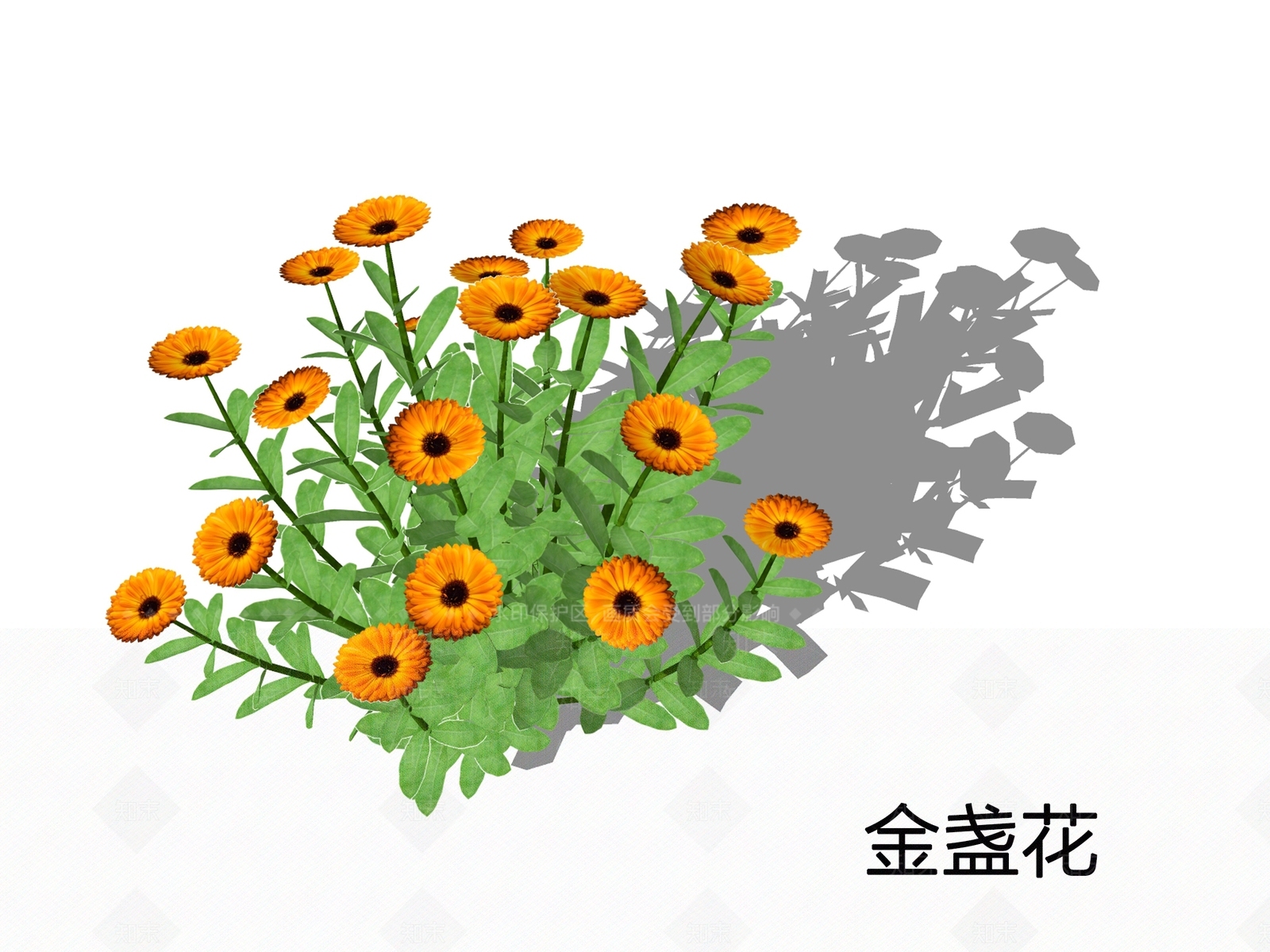 花草SU模型下载【ID:1200409398】