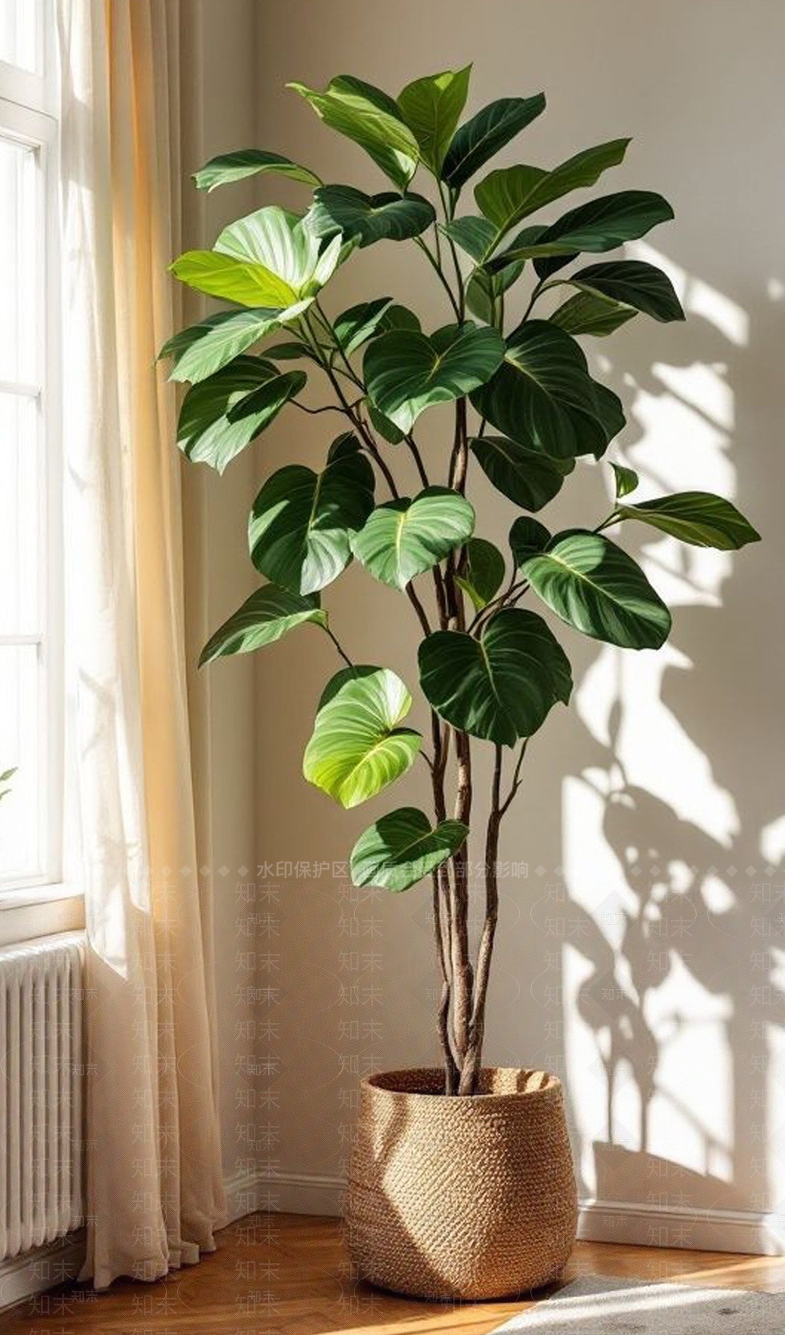 盆栽SU模型下载【ID:1200417931】