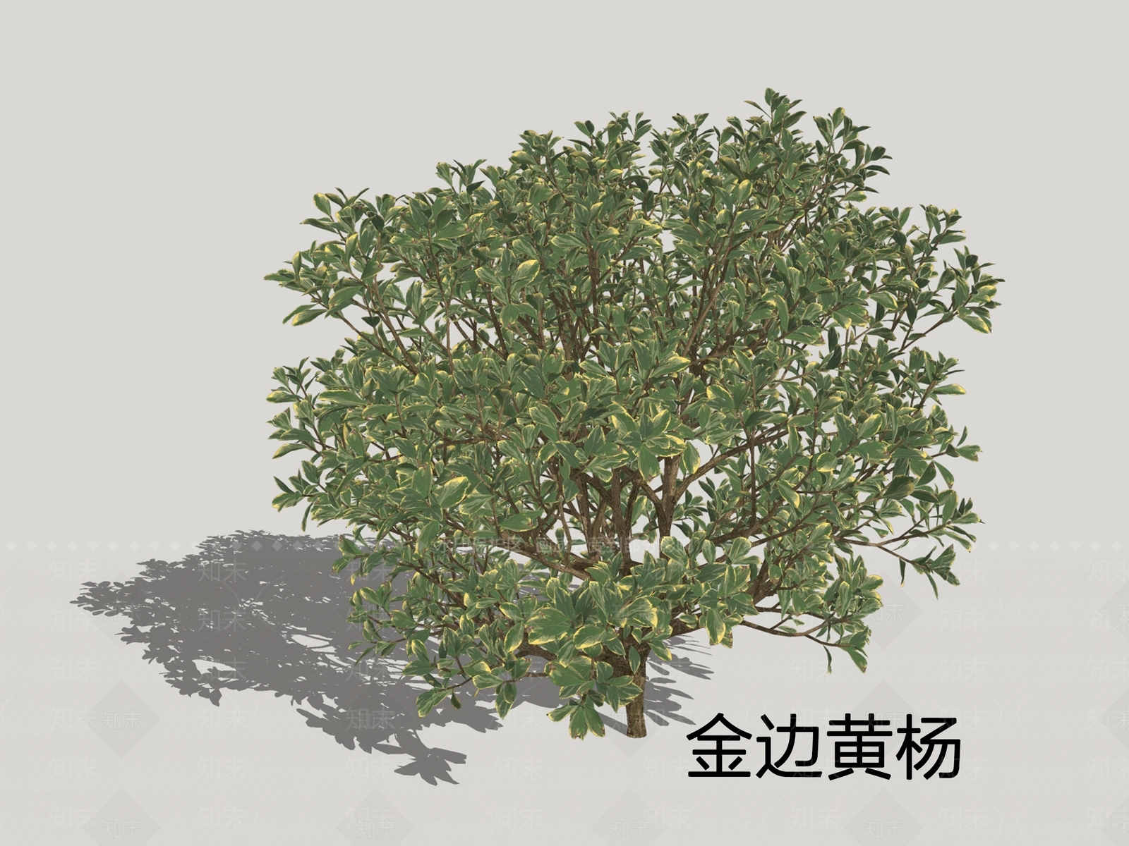 灌木SU模型下载【ID:1200433220】