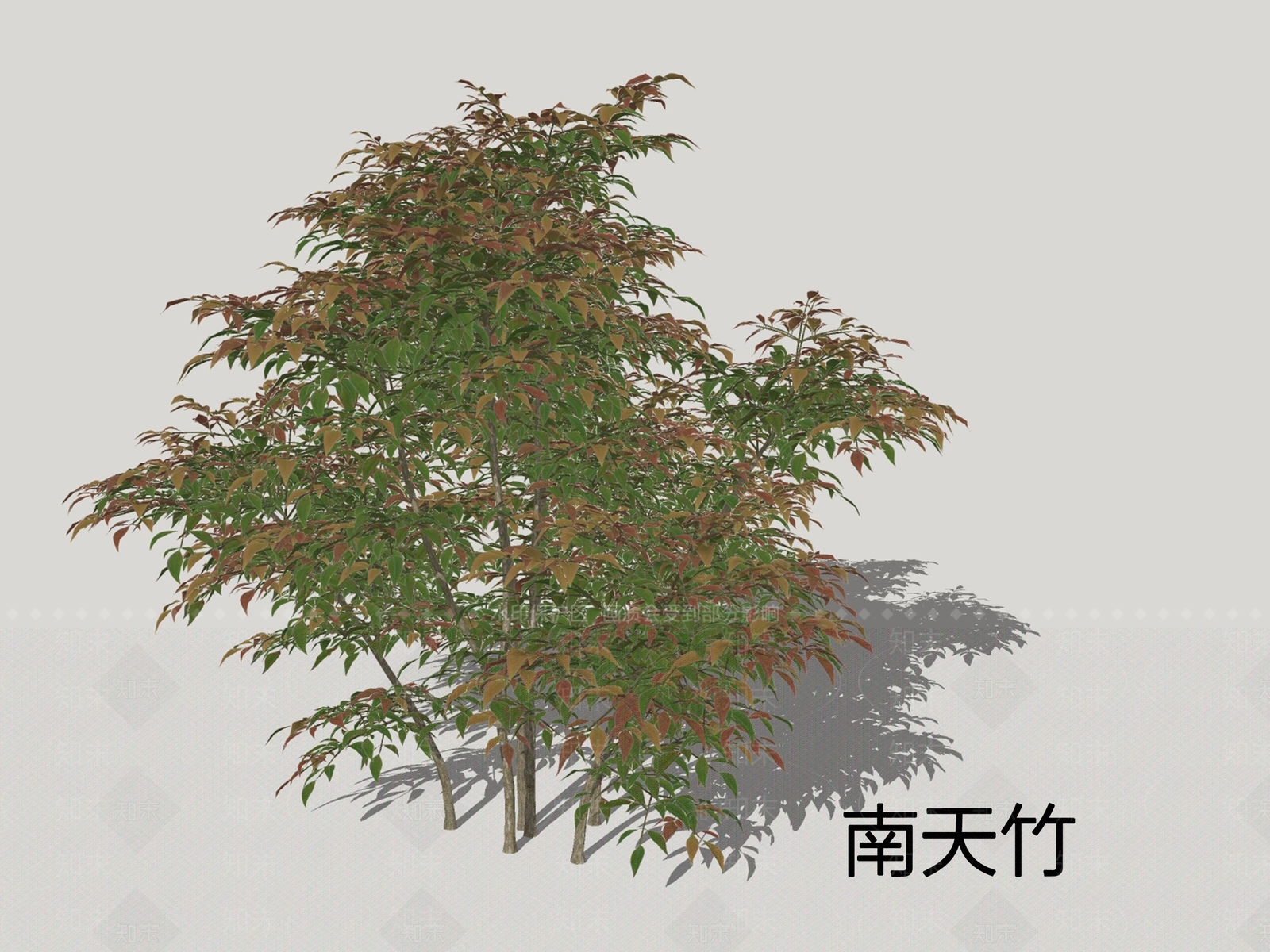 灌木SU模型下载【ID:1200433331】