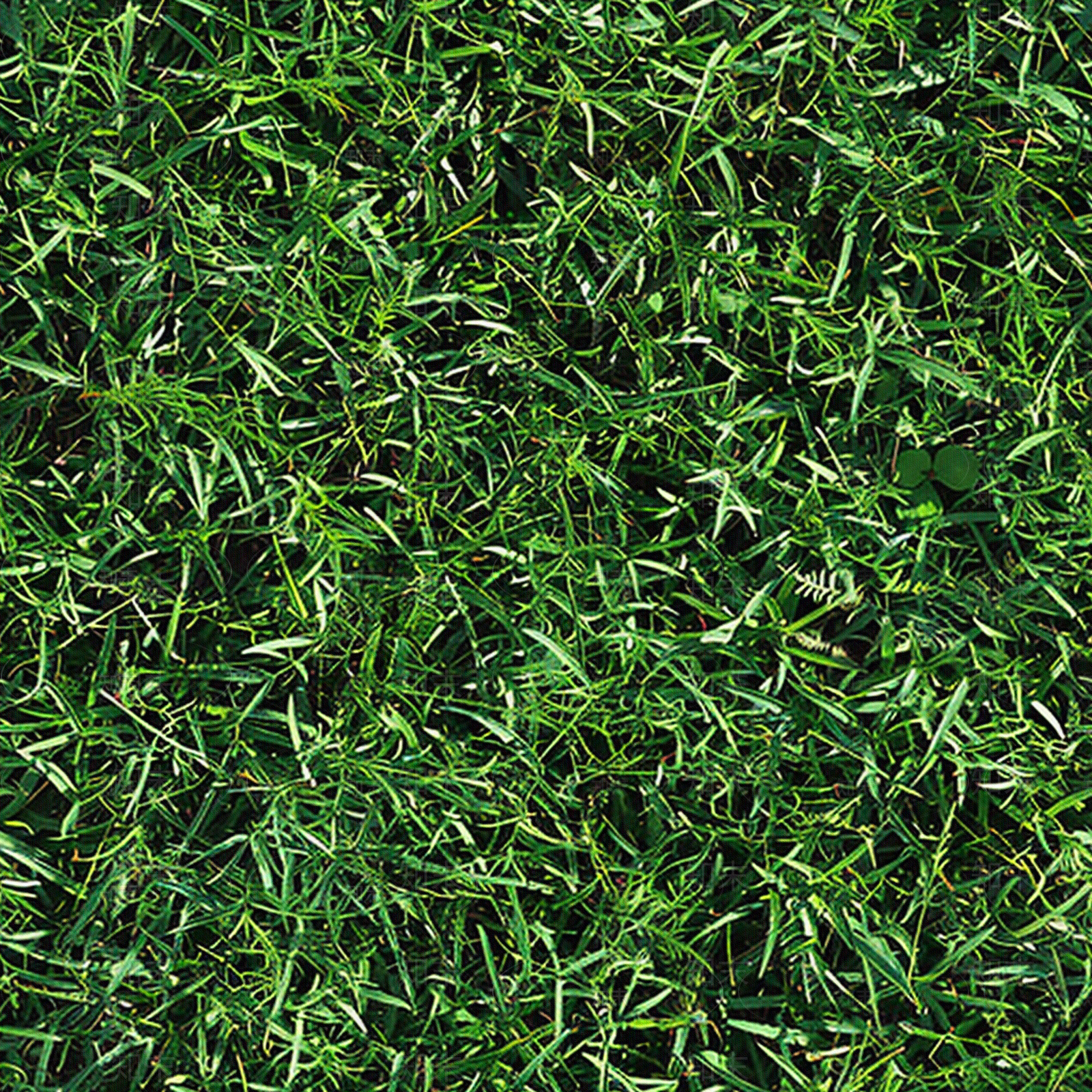 现代人造草坪贴图下载【ID:1200483623】