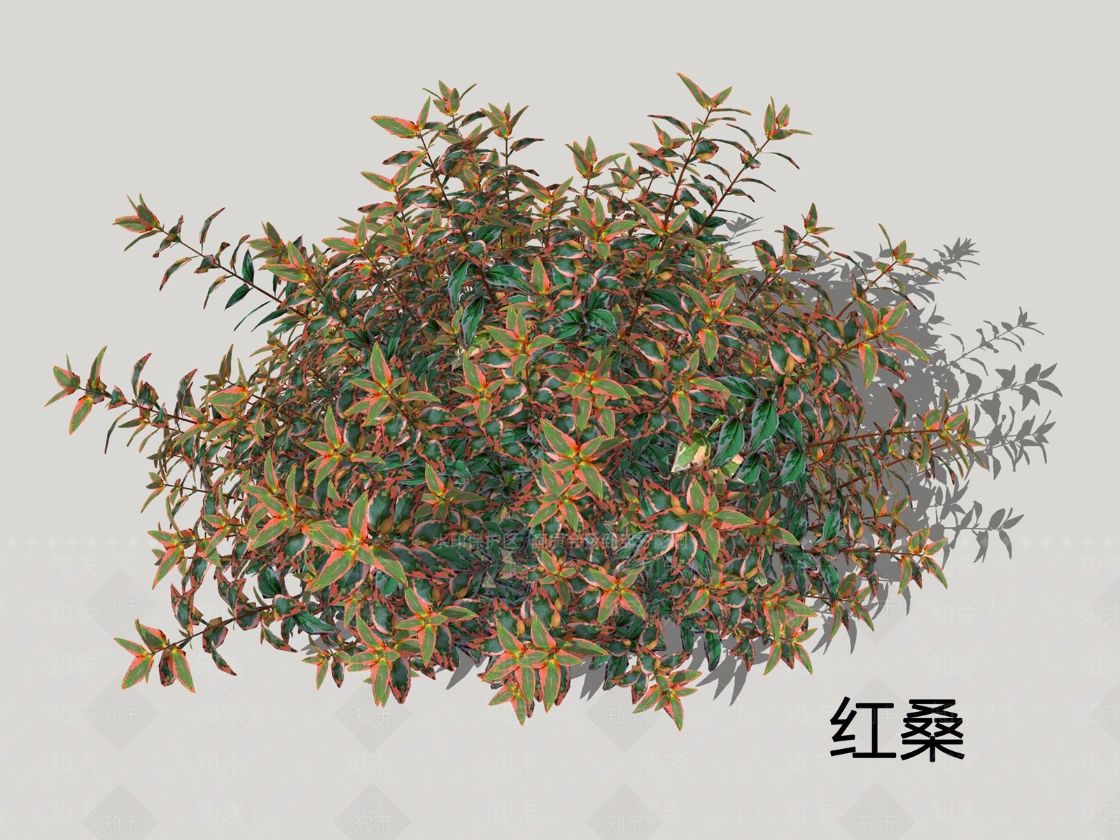 灌木SU模型下载【ID:1200491746】