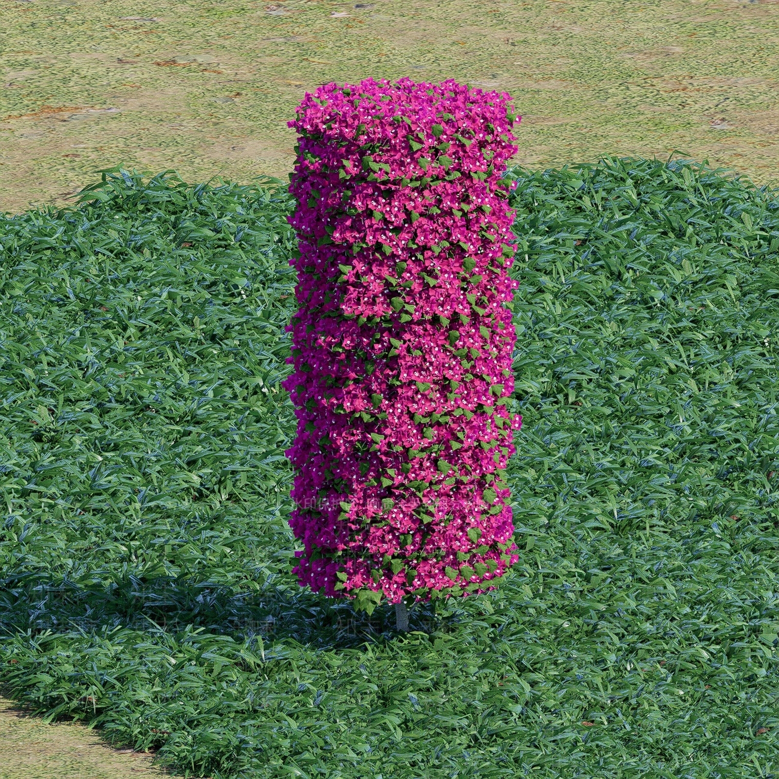 灌木SU模型下载【ID:1200502381】