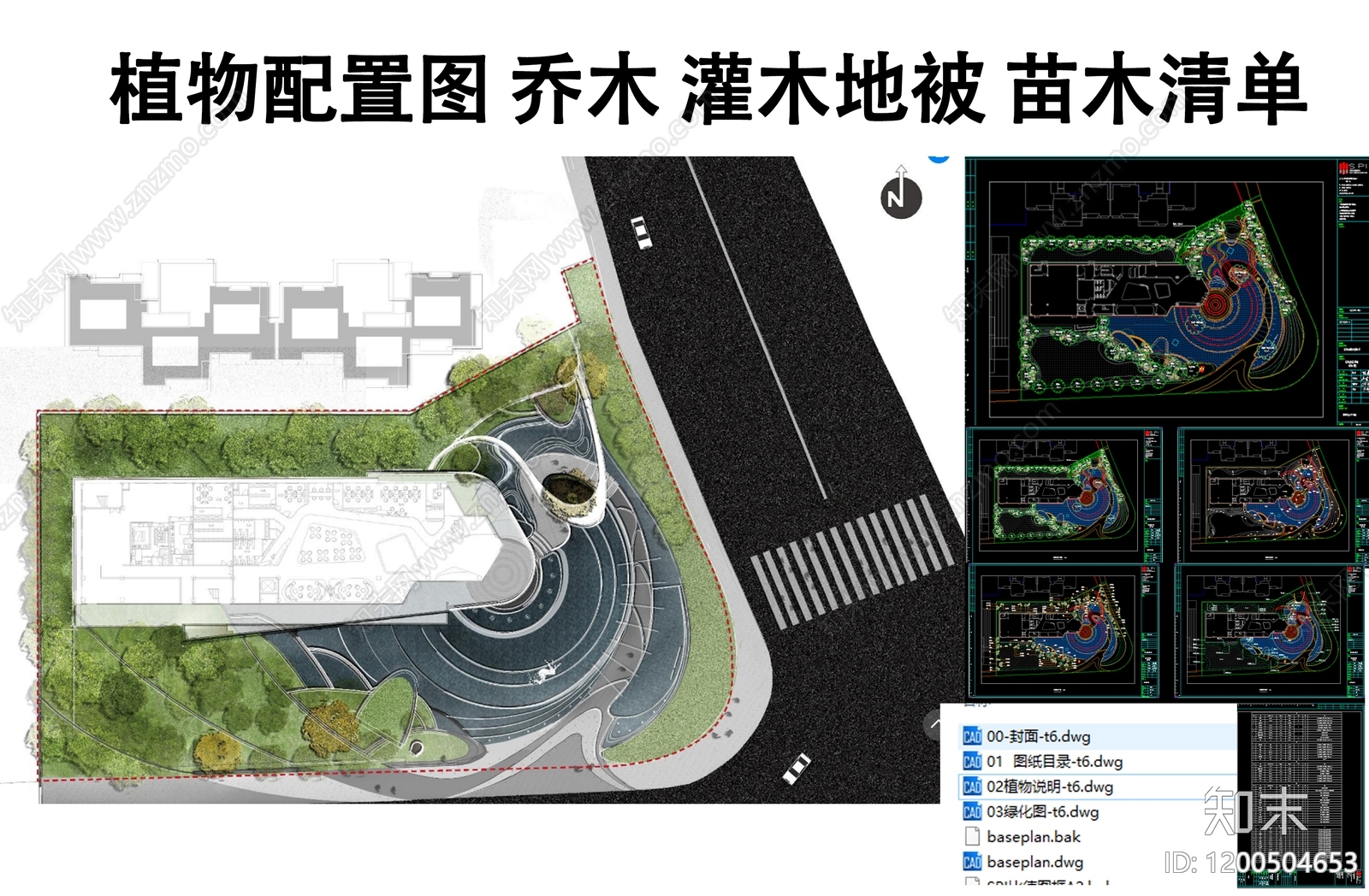 现代植物配置图库施工图下载【ID:1200504653】