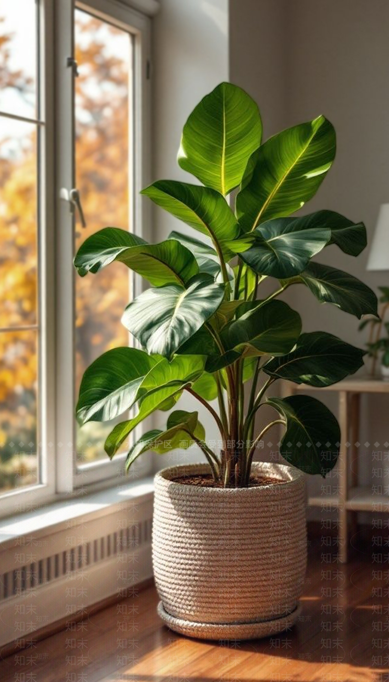 盆栽3D模型下载【ID:1200544013】