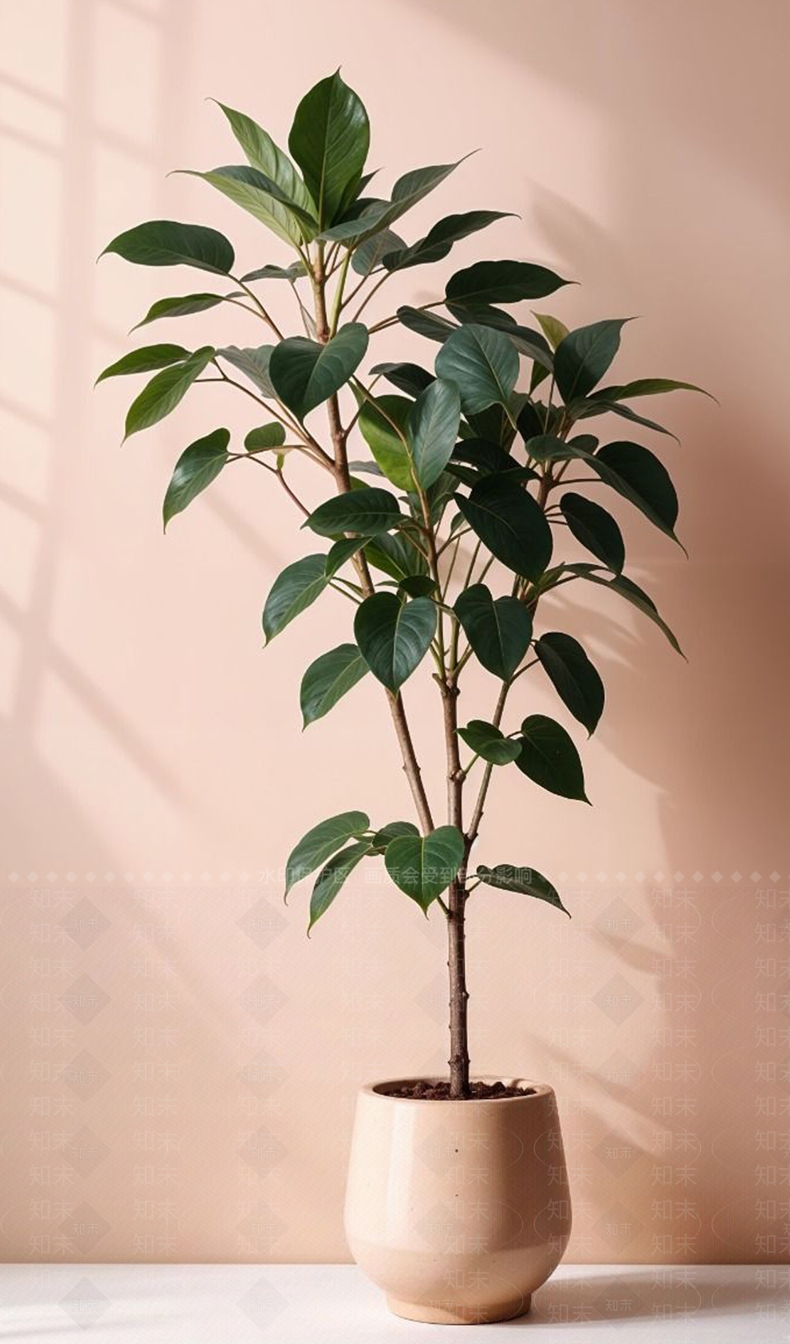 盆栽3D模型下载【ID:1200548681】