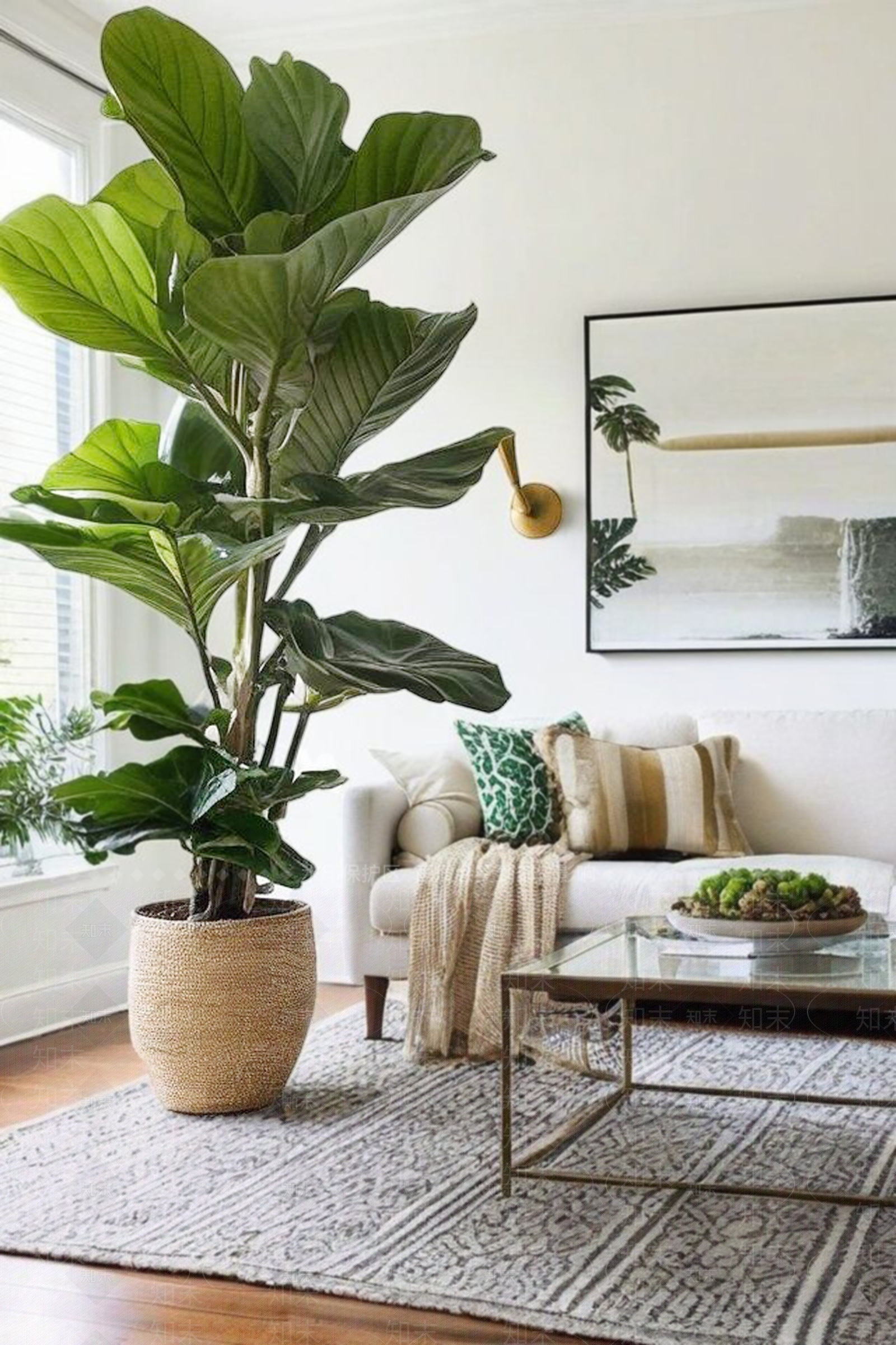 盆栽3D模型下载【ID:1200559342】