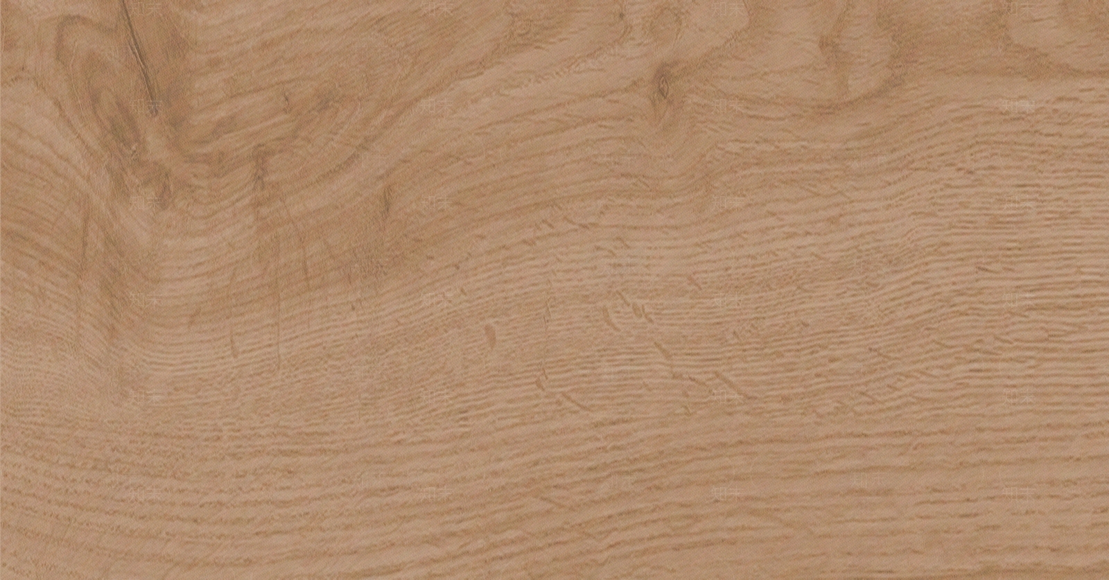 现代樟木贴图下载【ID:1200569234】