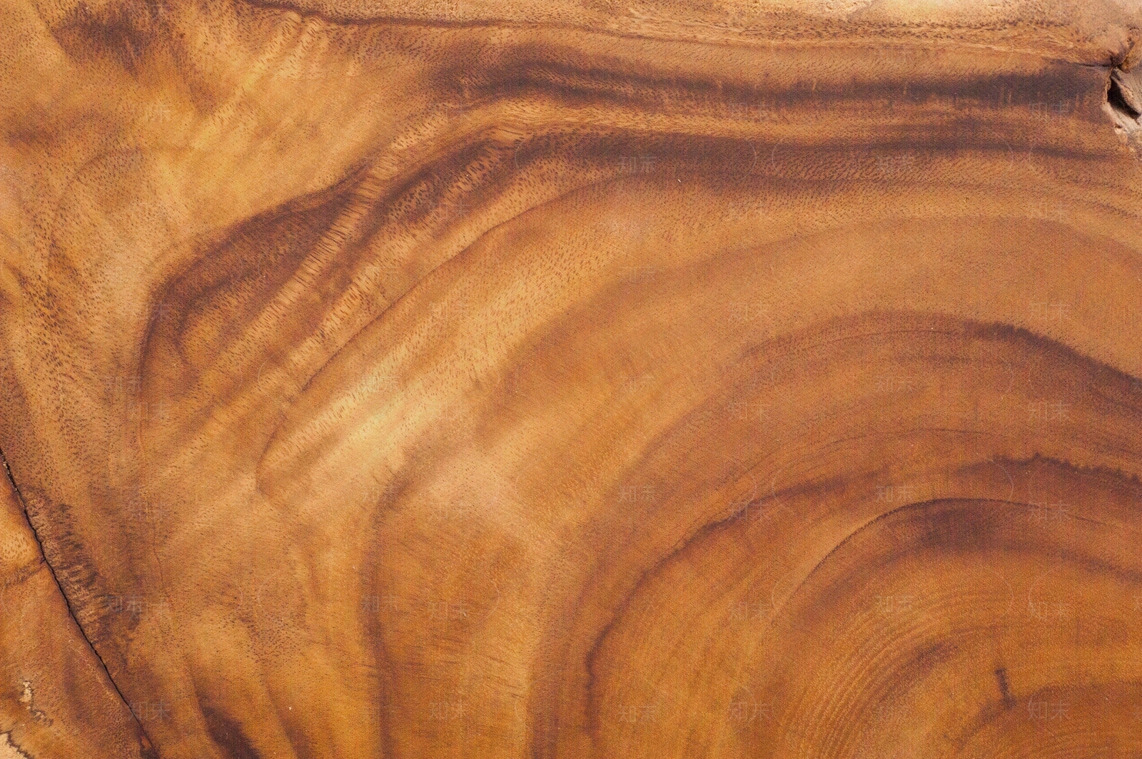 法式新中式年轮贴图下载【ID:1200578430】