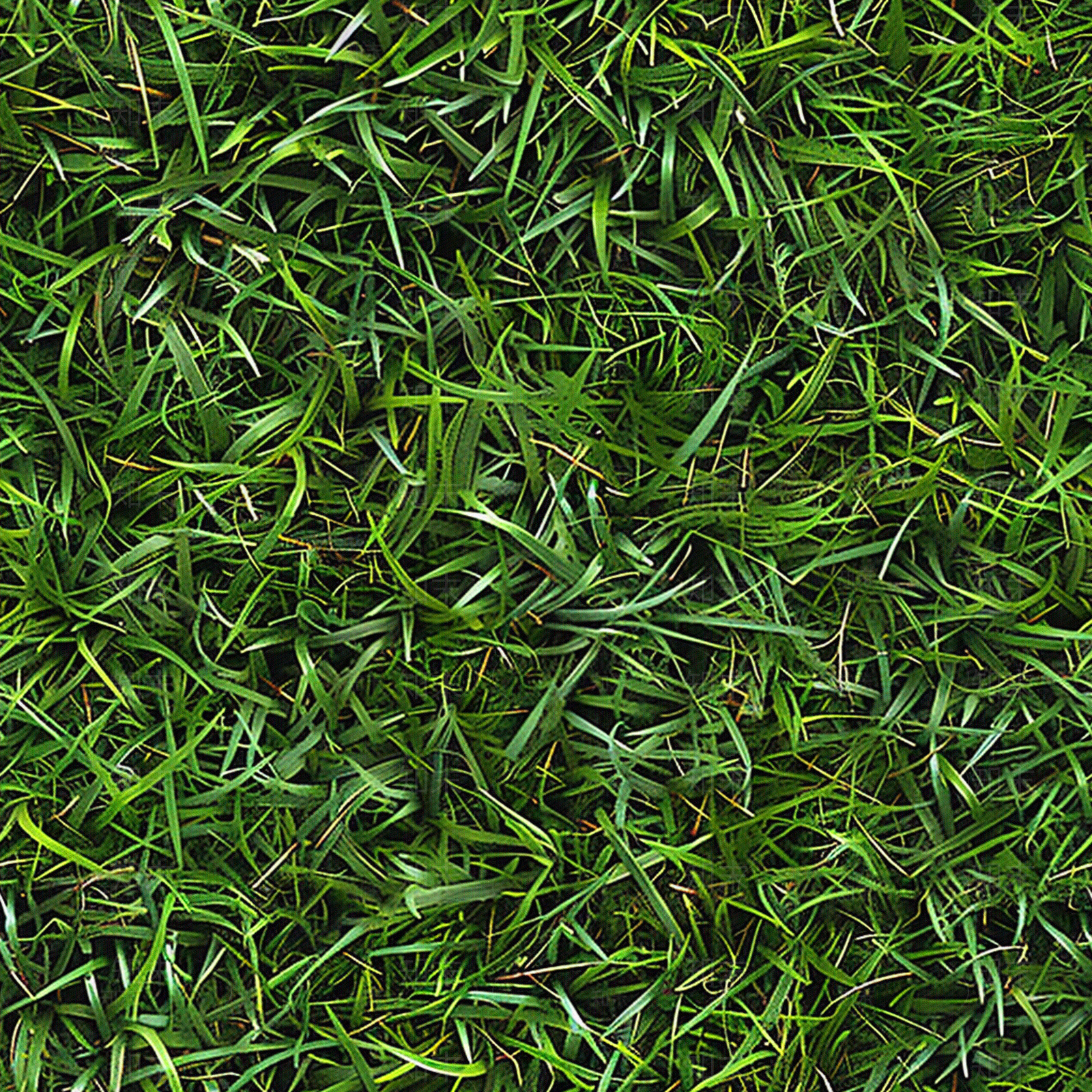 现代人造草坪贴图下载【ID:1200579031】