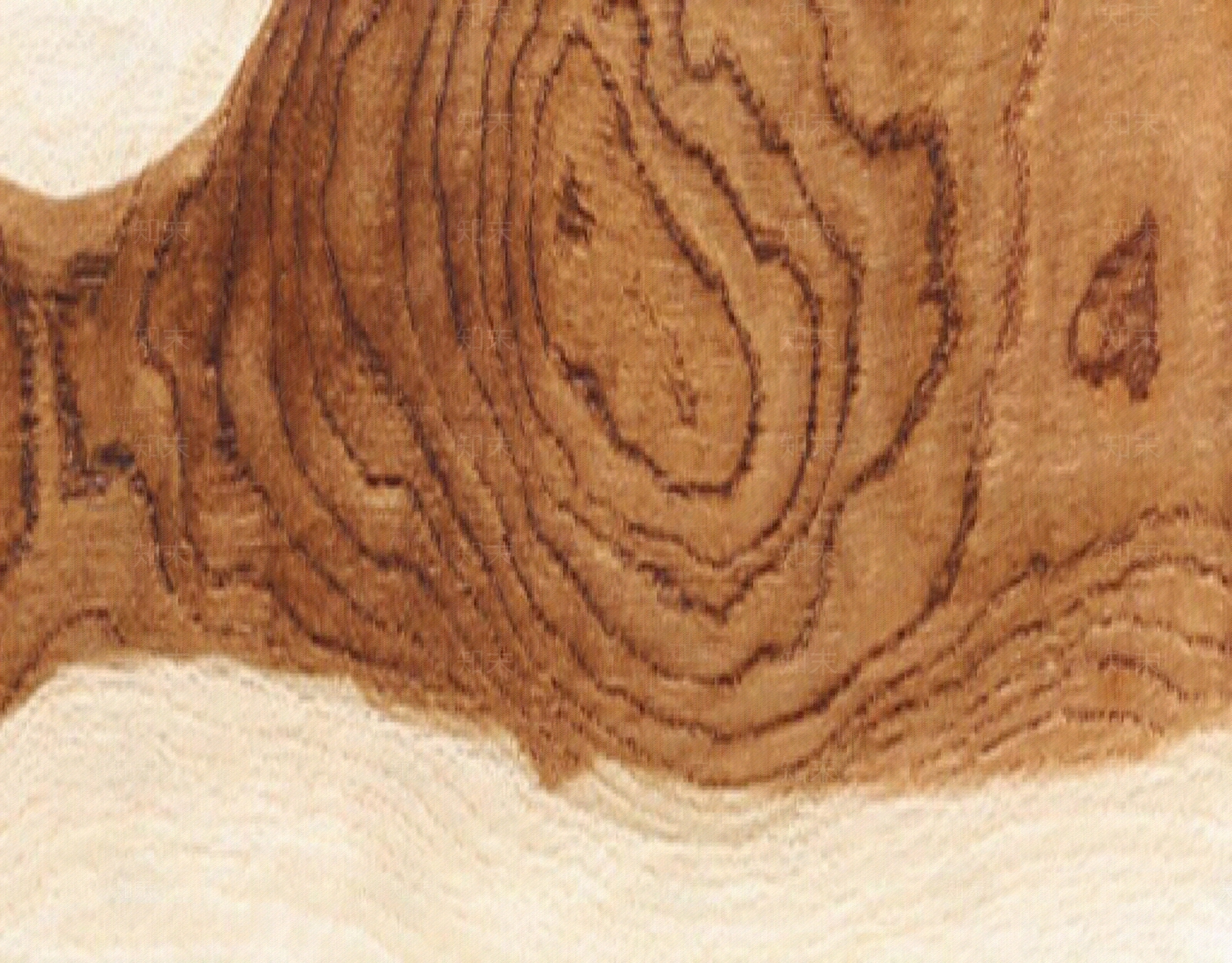 现代樟木贴图下载【ID:1200588794】