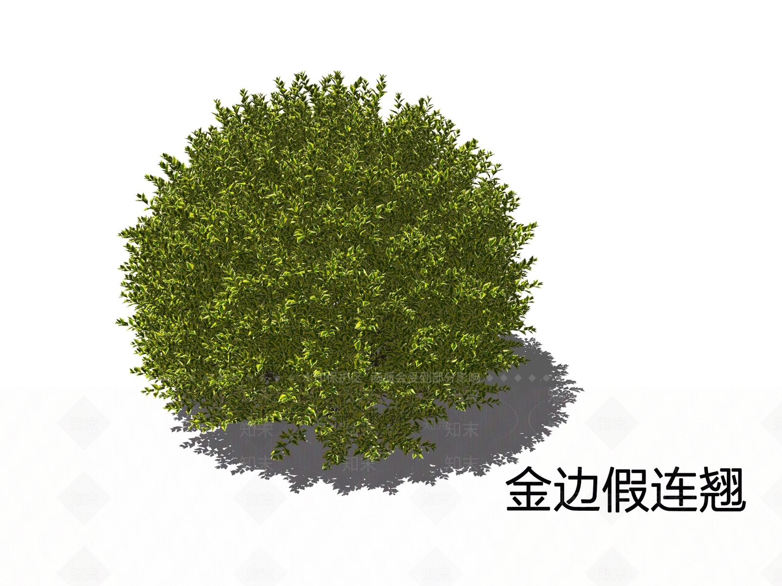 灌木SU模型下载【ID:1200592115】