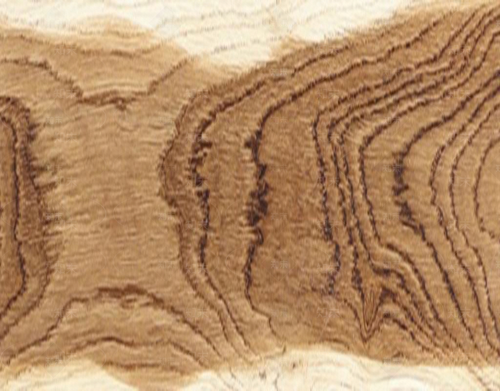 现代樟木贴图下载【ID:1200606470】