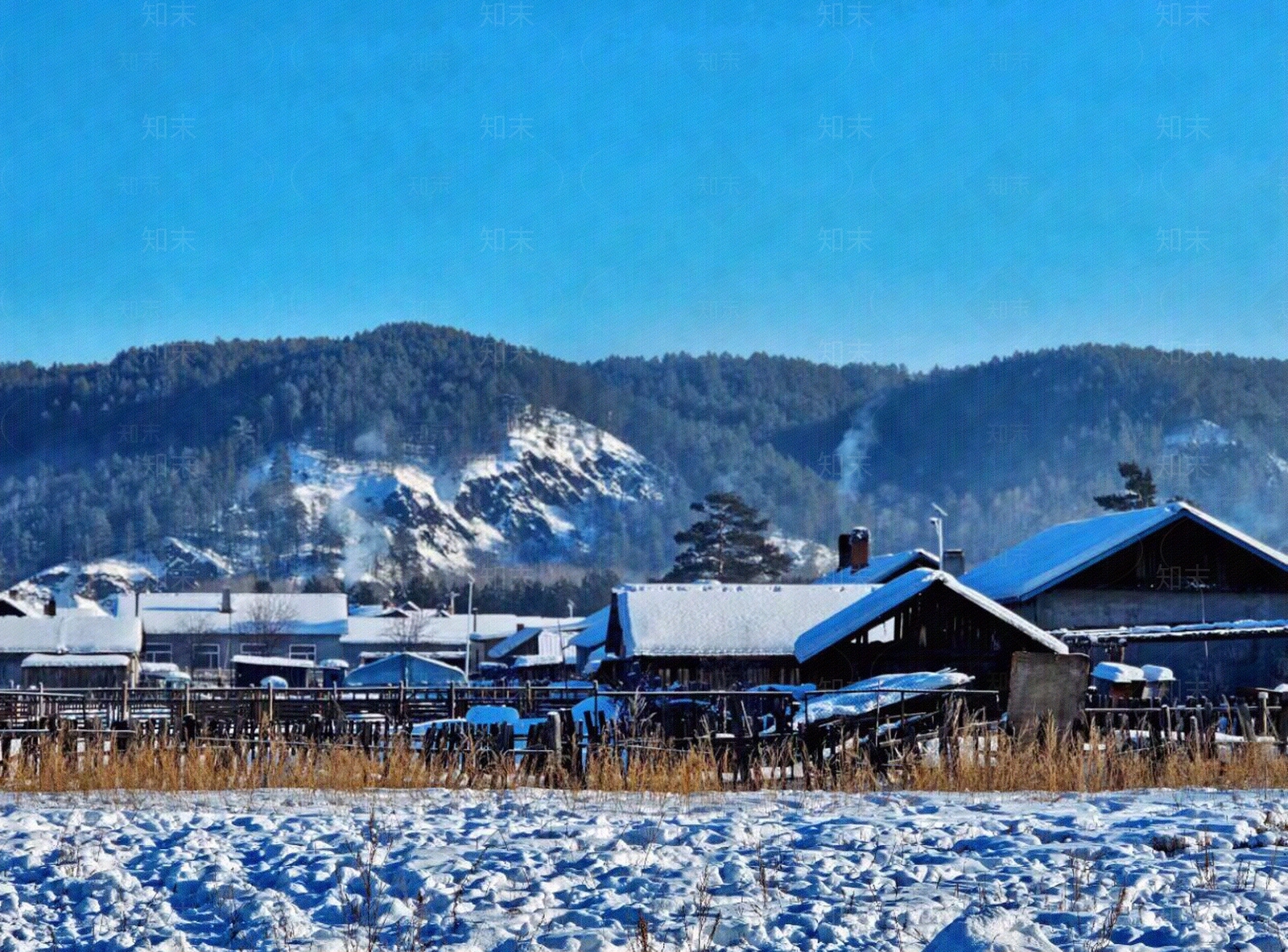 现代雪景贴图下载【ID:1200612344】