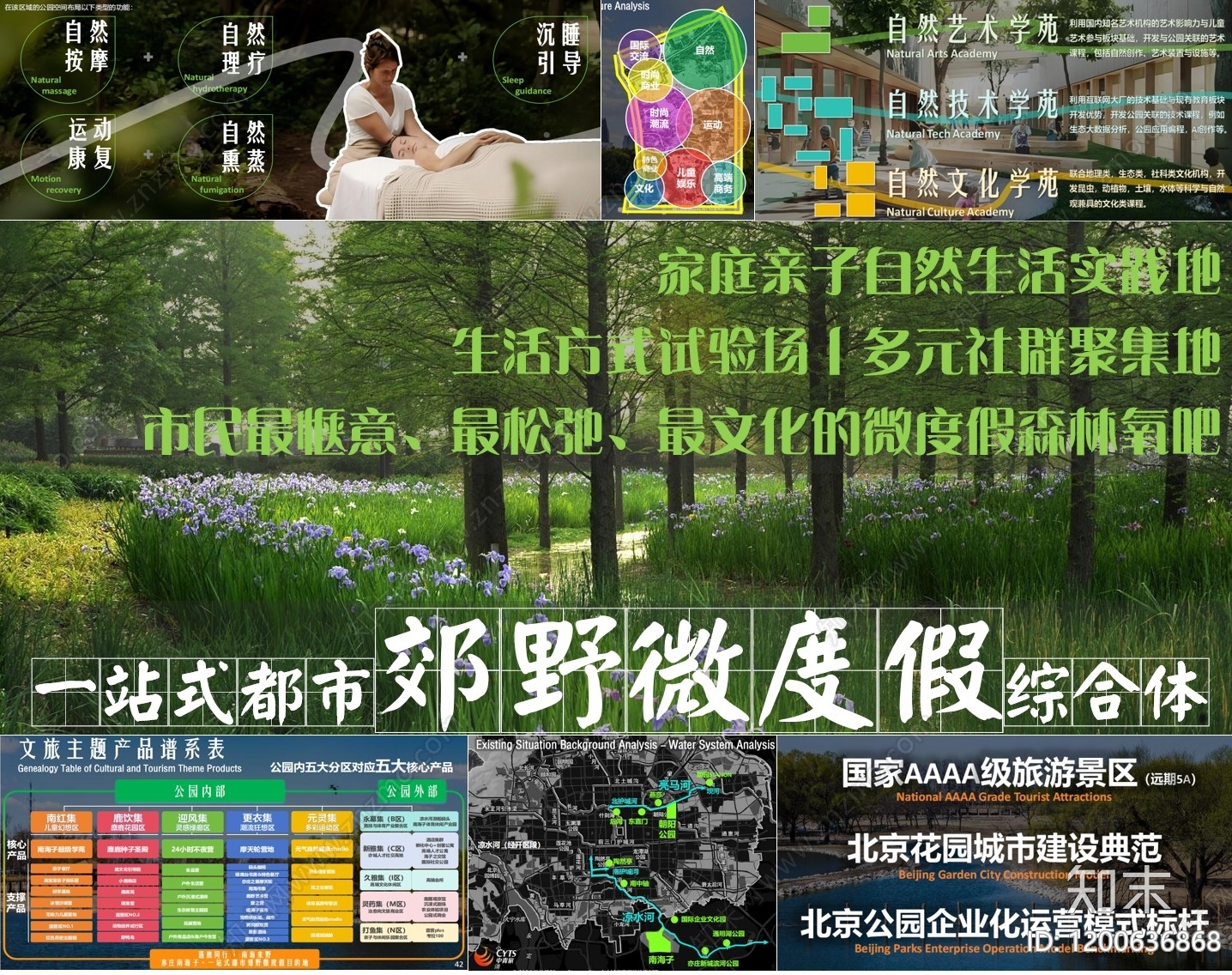 现代综合性公园景观下载【ID:1200636868】