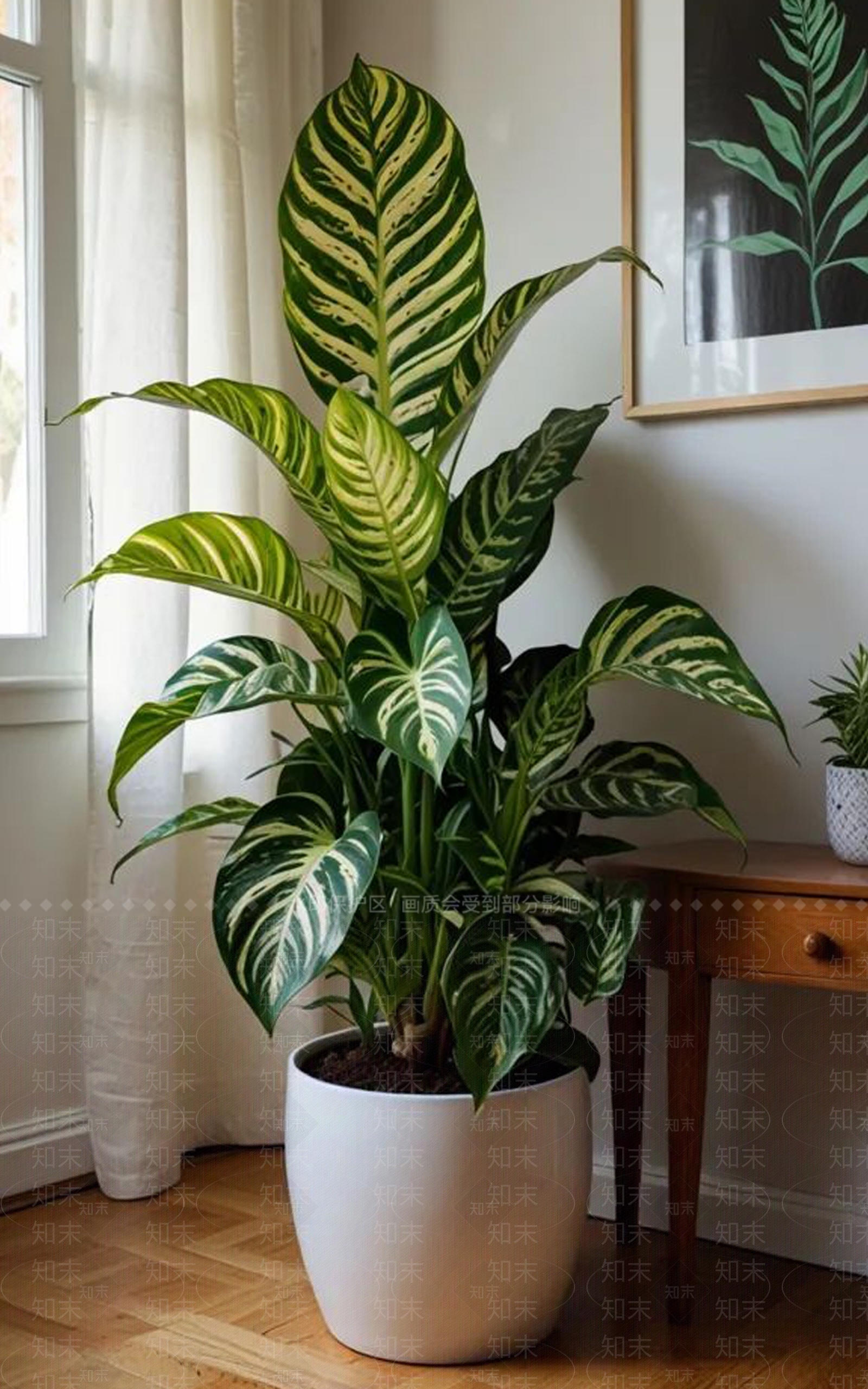 盆栽3D模型下载【ID:1200656115】