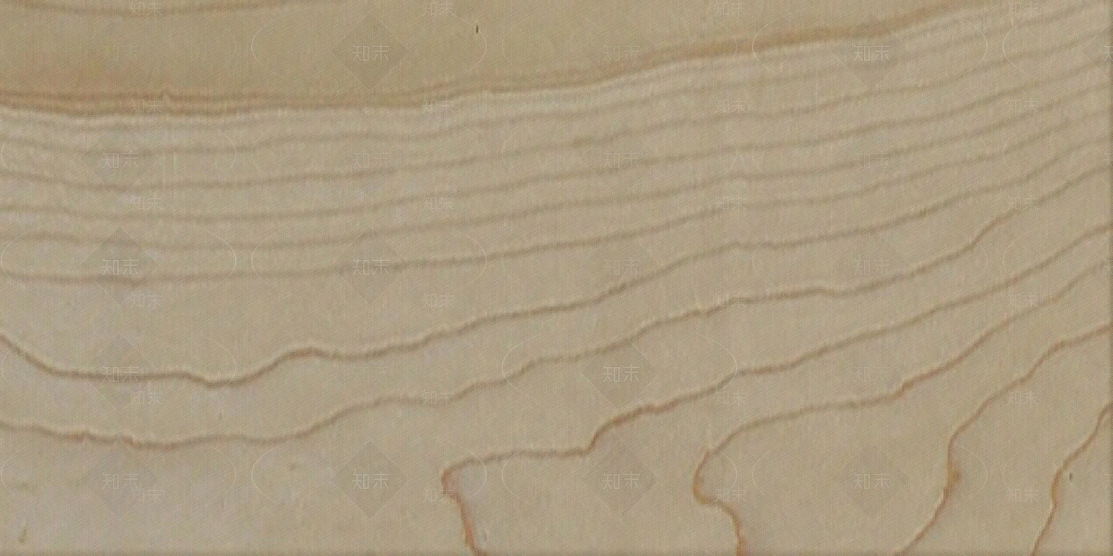 现代樟木贴图下载【ID:1200749860】