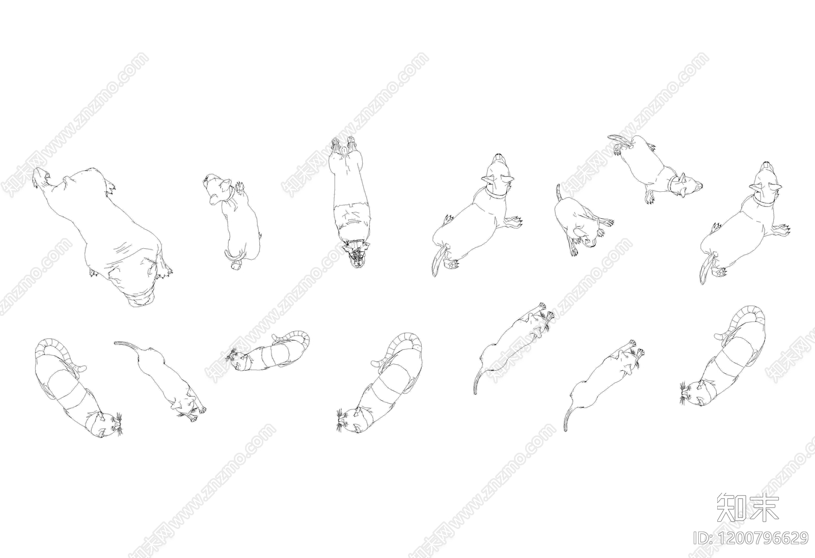 现代动物施工图下载【ID:1200796629】