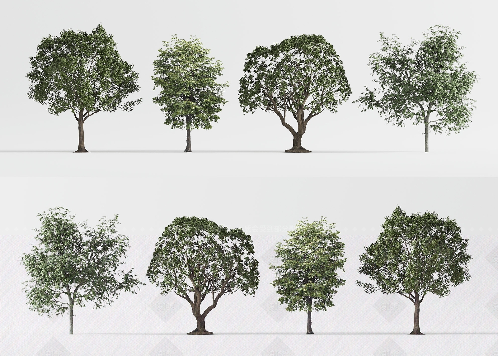 景观树3D模型下载【ID:1200810905】