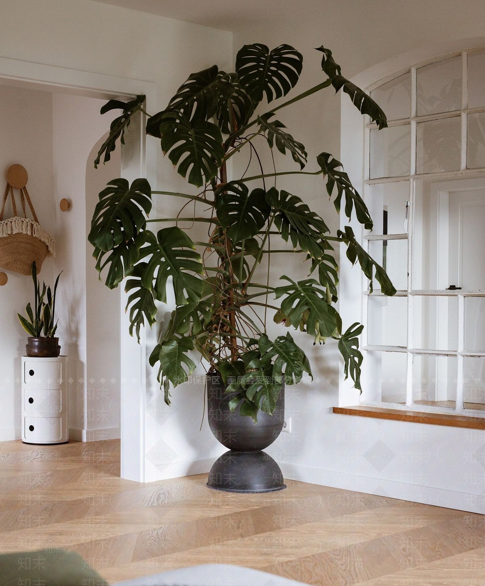 盆栽3D模型下载【ID:1200810472】