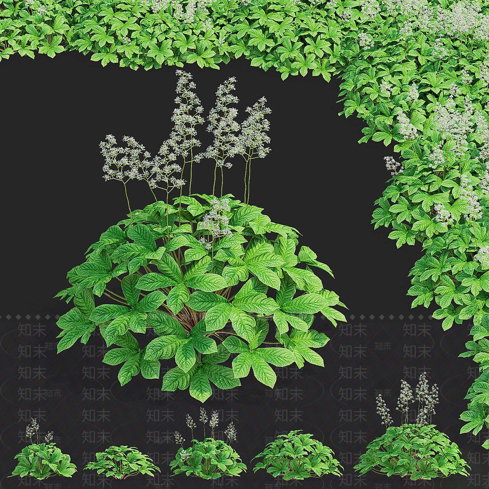 花草组合3D模型下载【ID:1200872264】