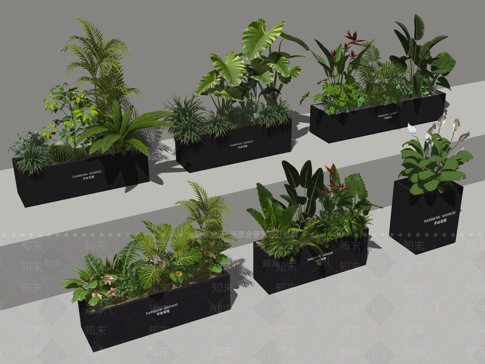 花草SU模型草图