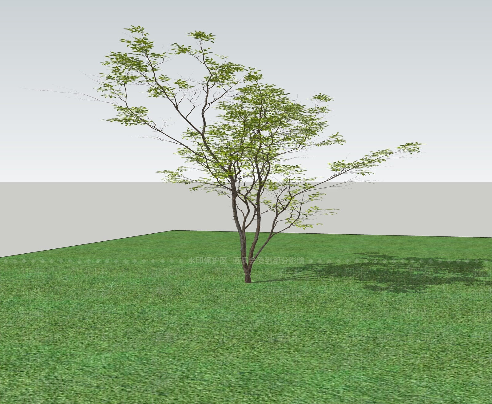 乔木SU模型下载【ID:1200889610】