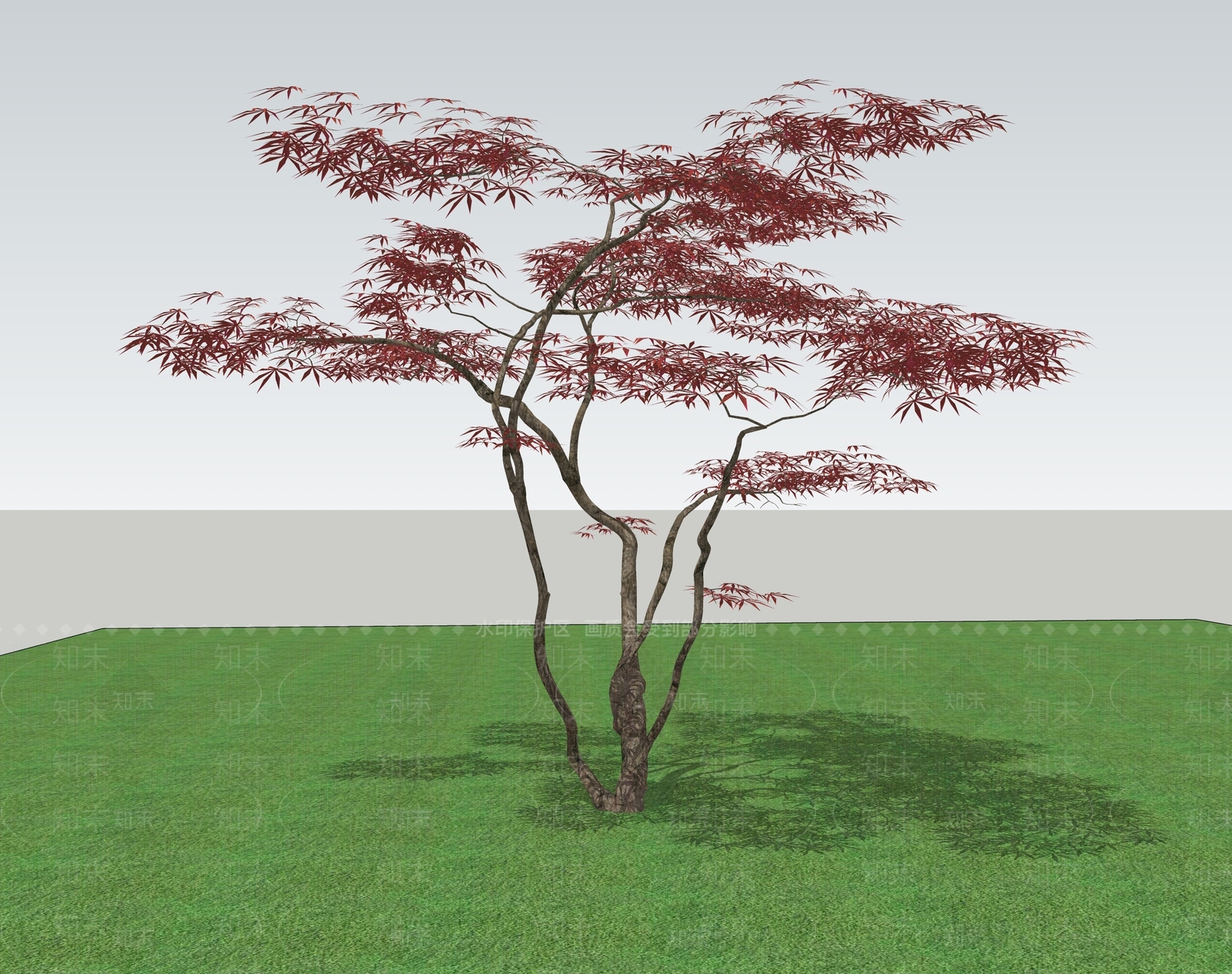 乔木SU模型下载【ID:1200889605】