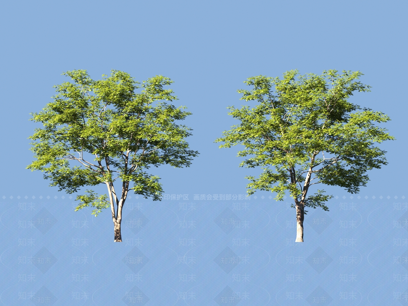 景观树3D模型下载【ID:1200922420】