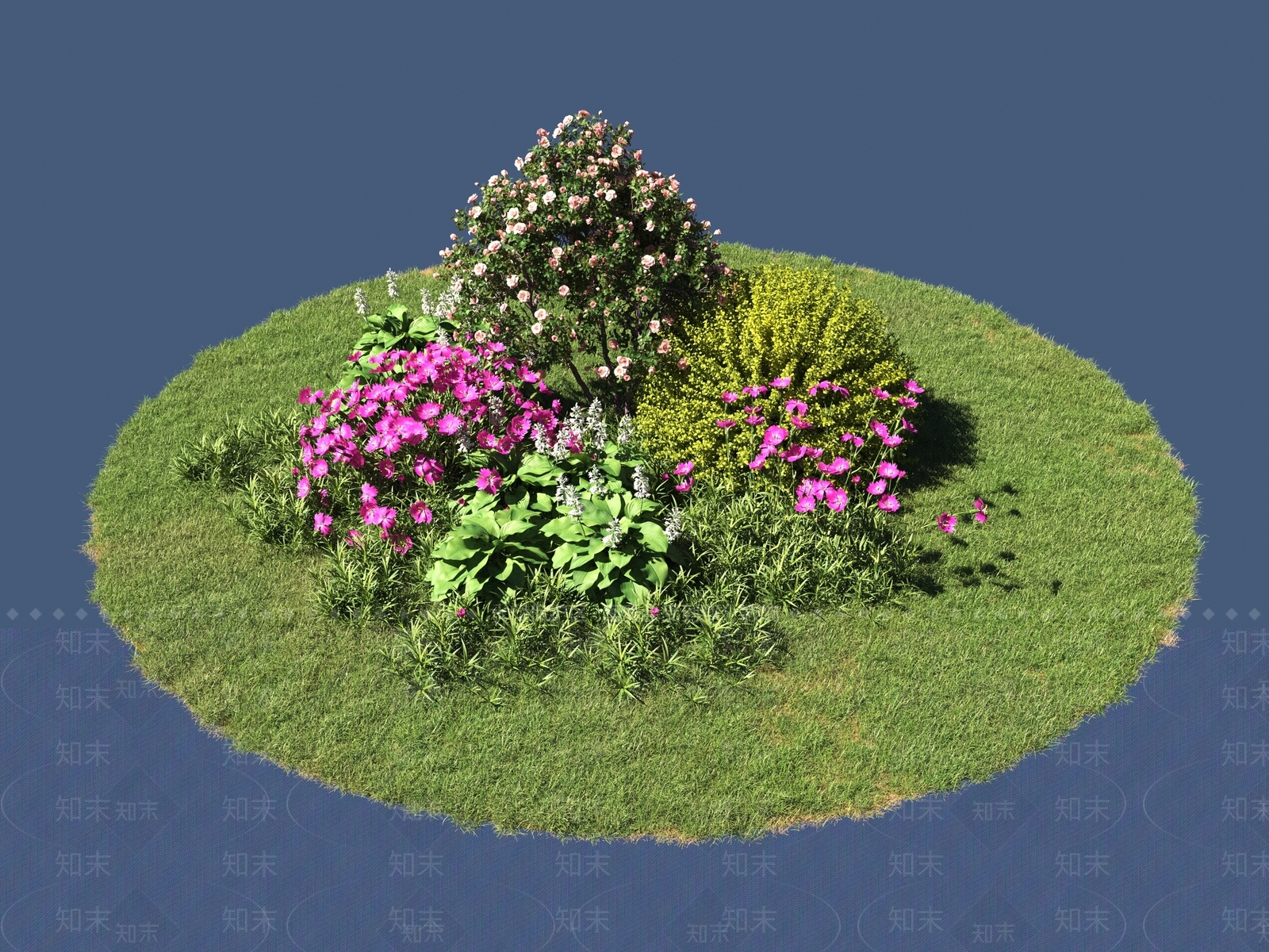 景观树3D模型下载【ID:1200922510】