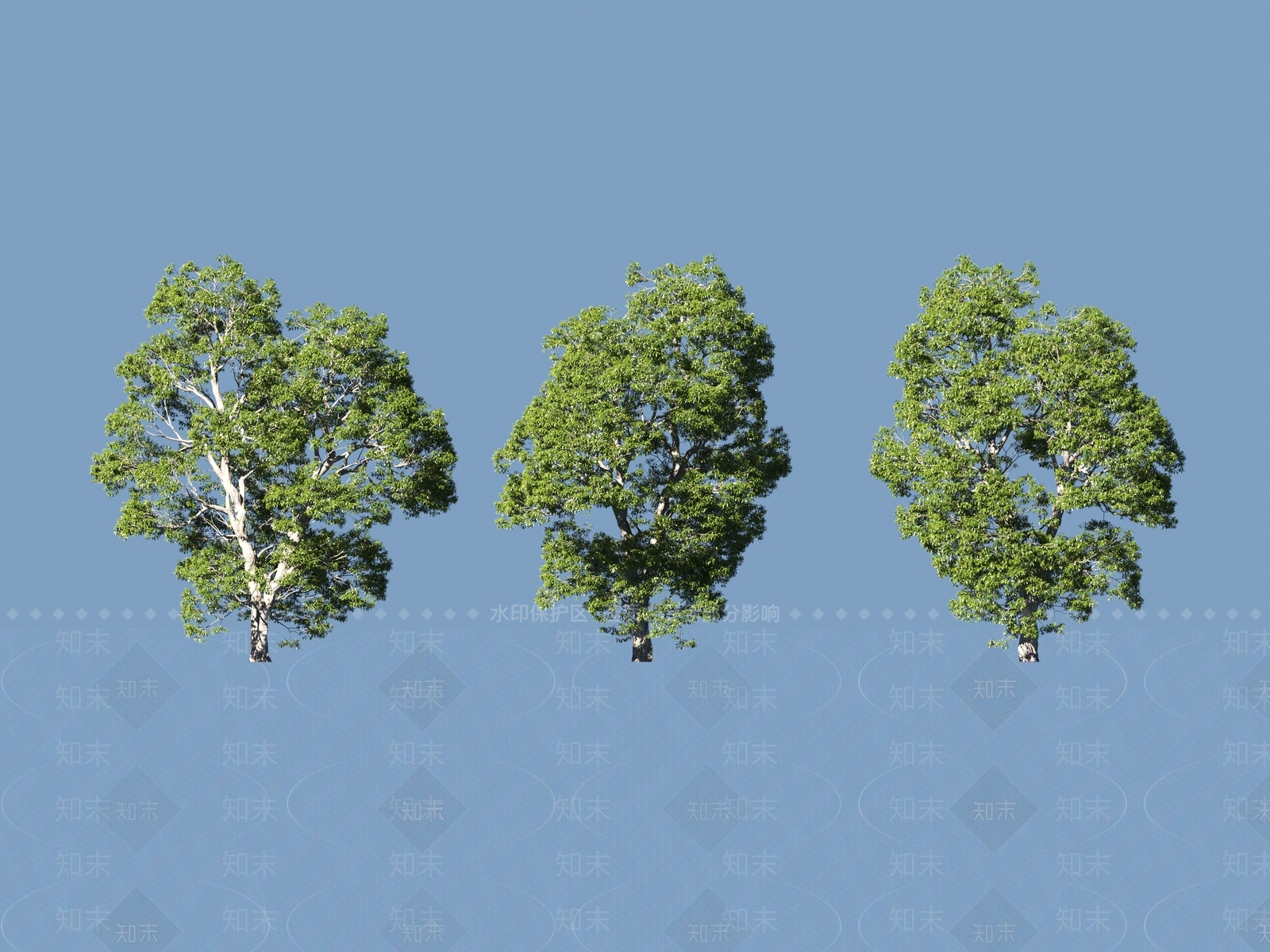 景观树3D模型下载【ID:1200922524】