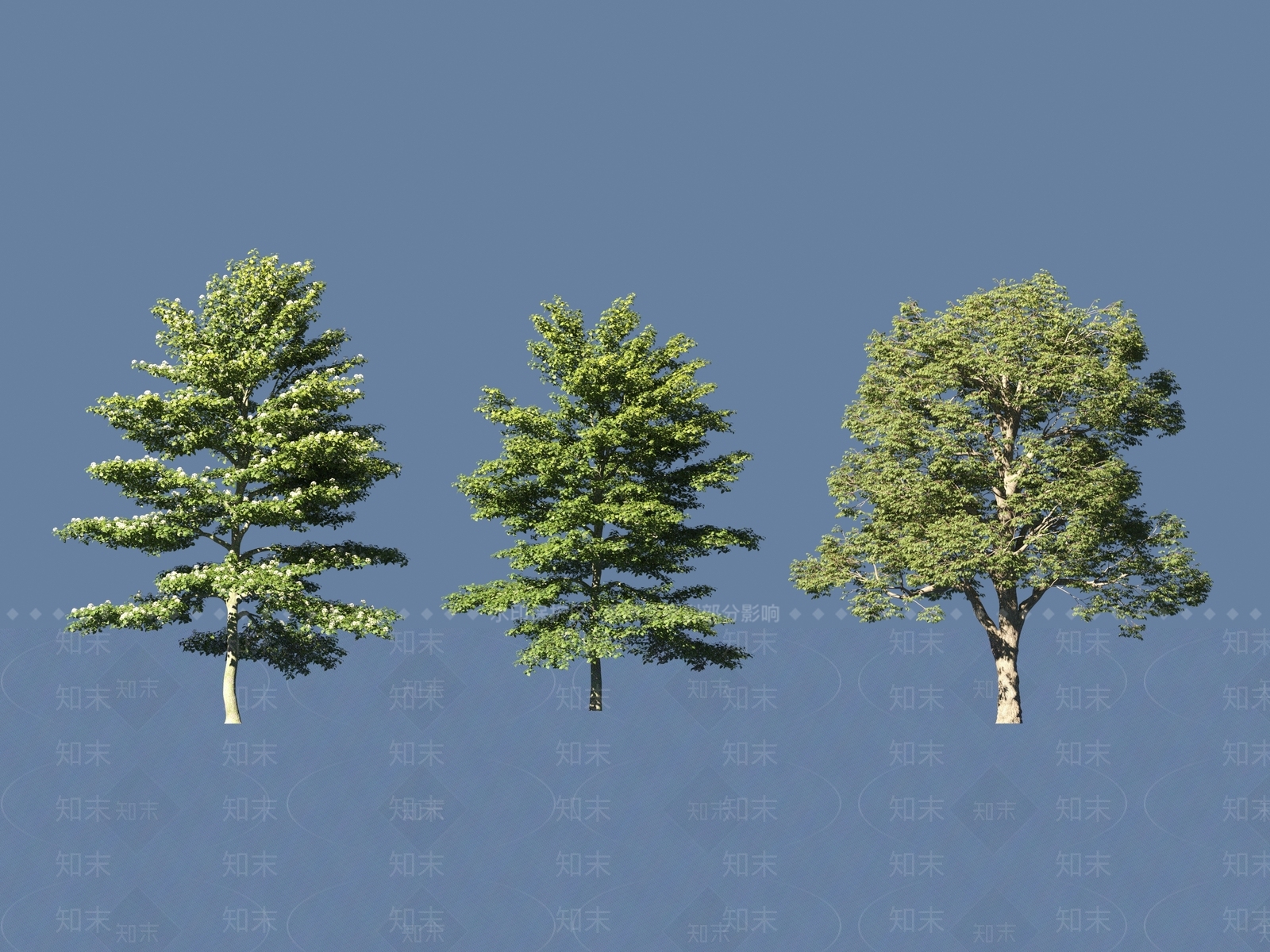景观树3D模型下载【ID:1200923199】