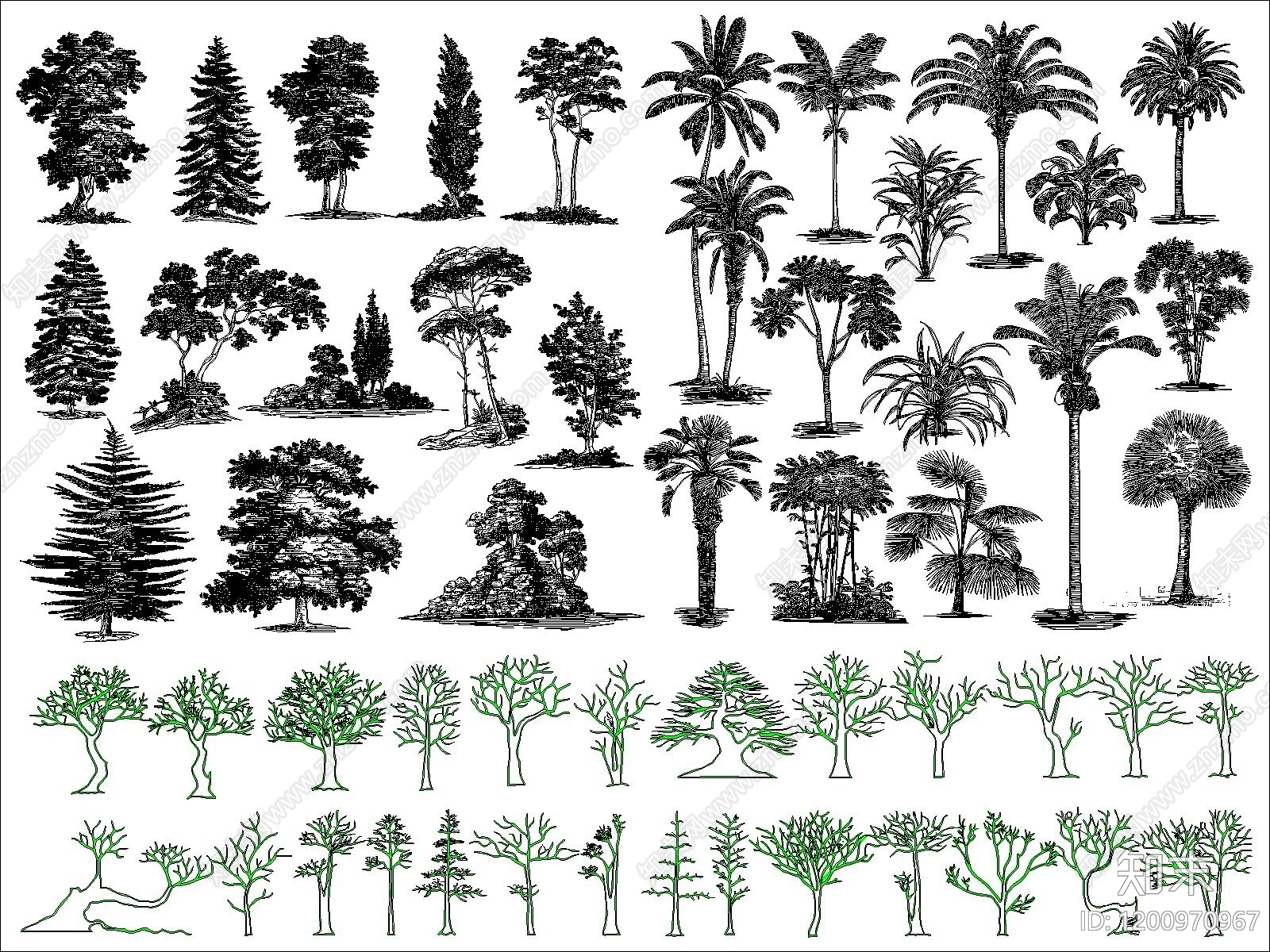 乔木种植施工图下载【ID:1200970967】