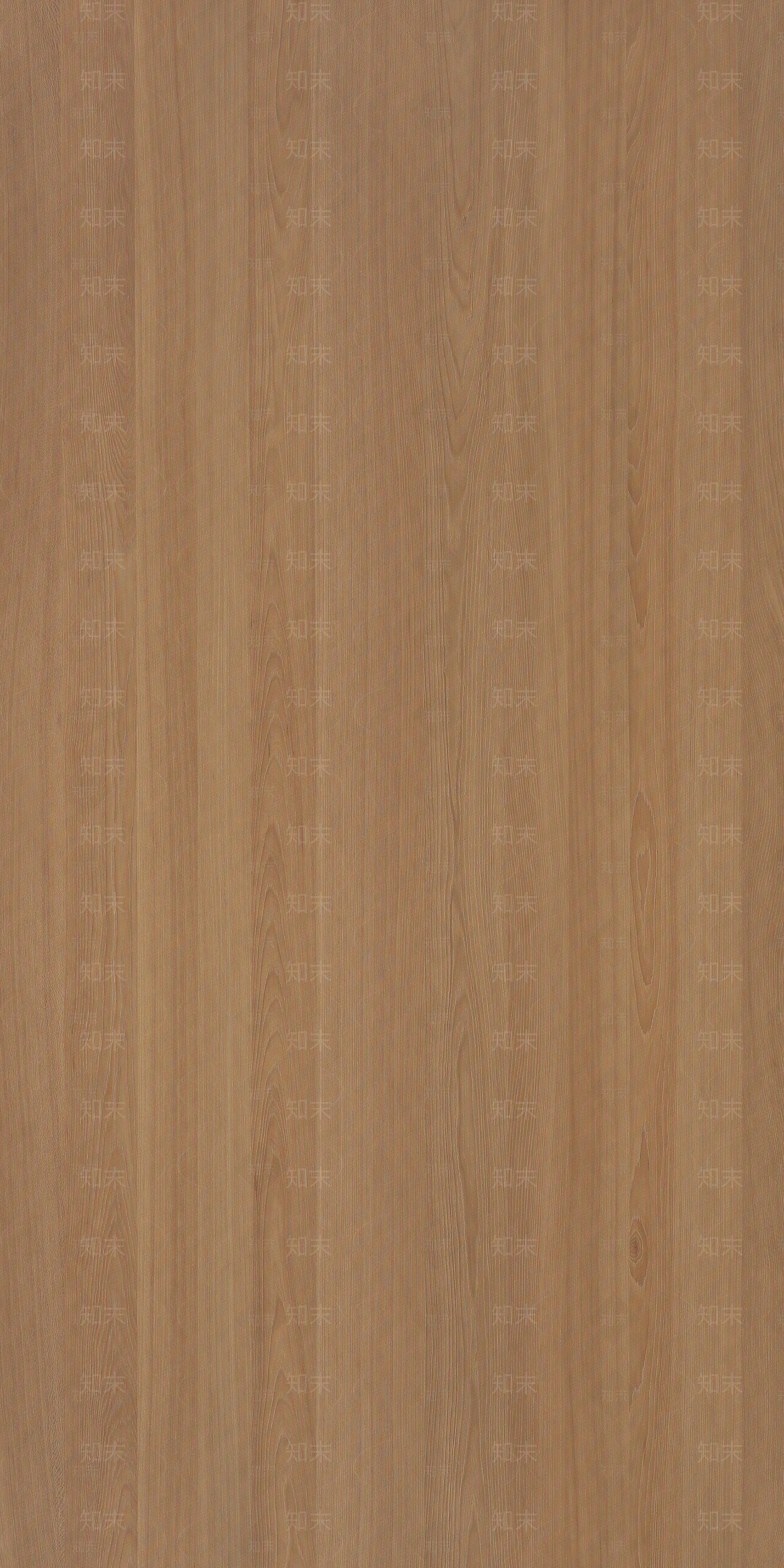 原木禅意浅色木纹贴图下载【ID:1200979974】