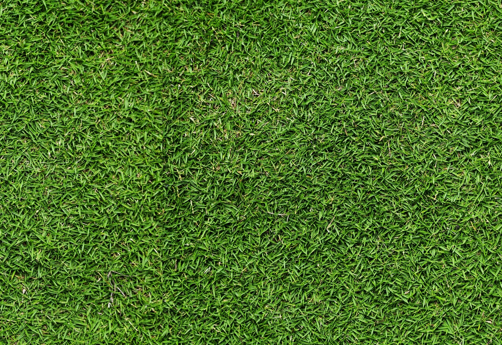 现代新中式草地贴图下载【ID:1201125933】