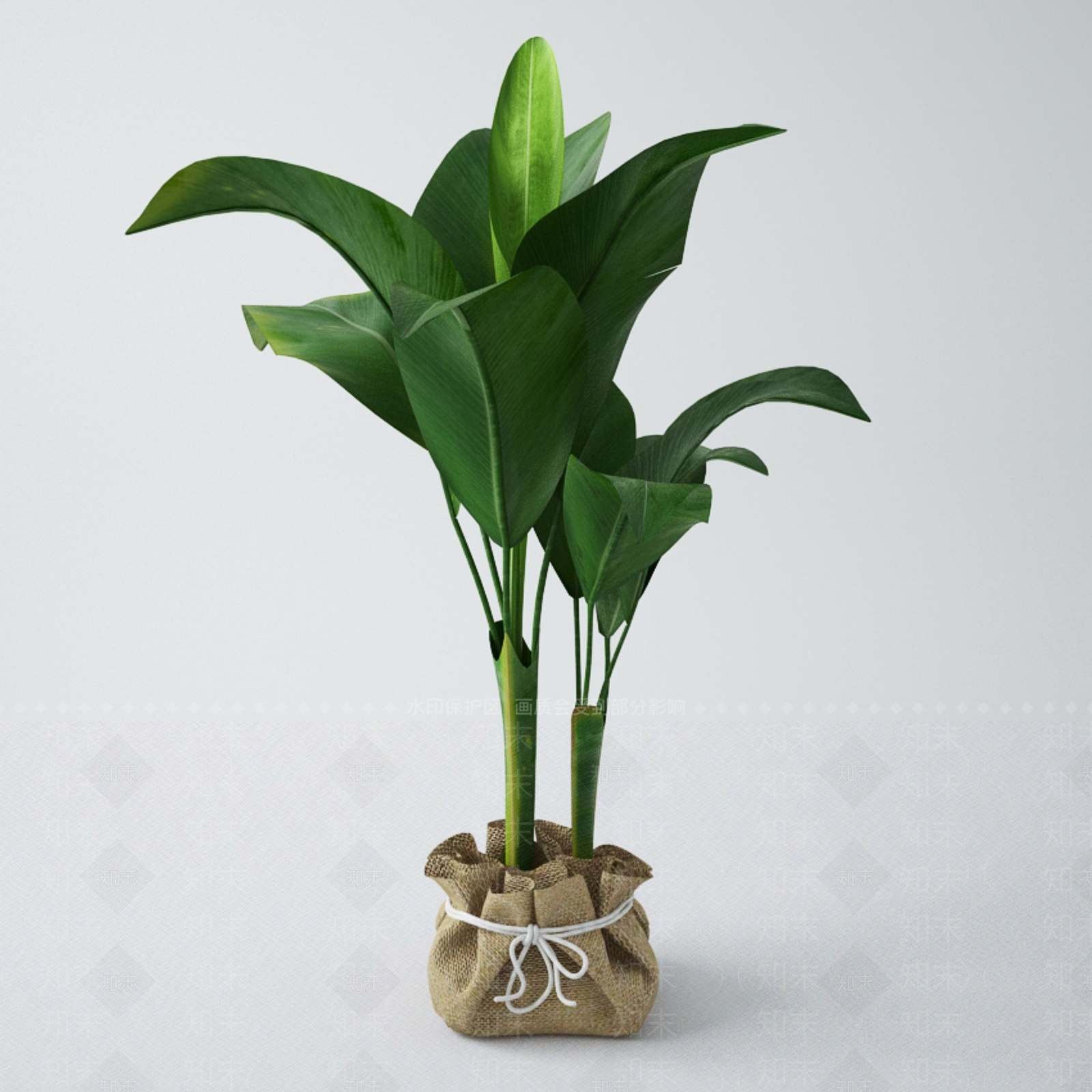 盆栽SU模型下载【ID:1201159843】