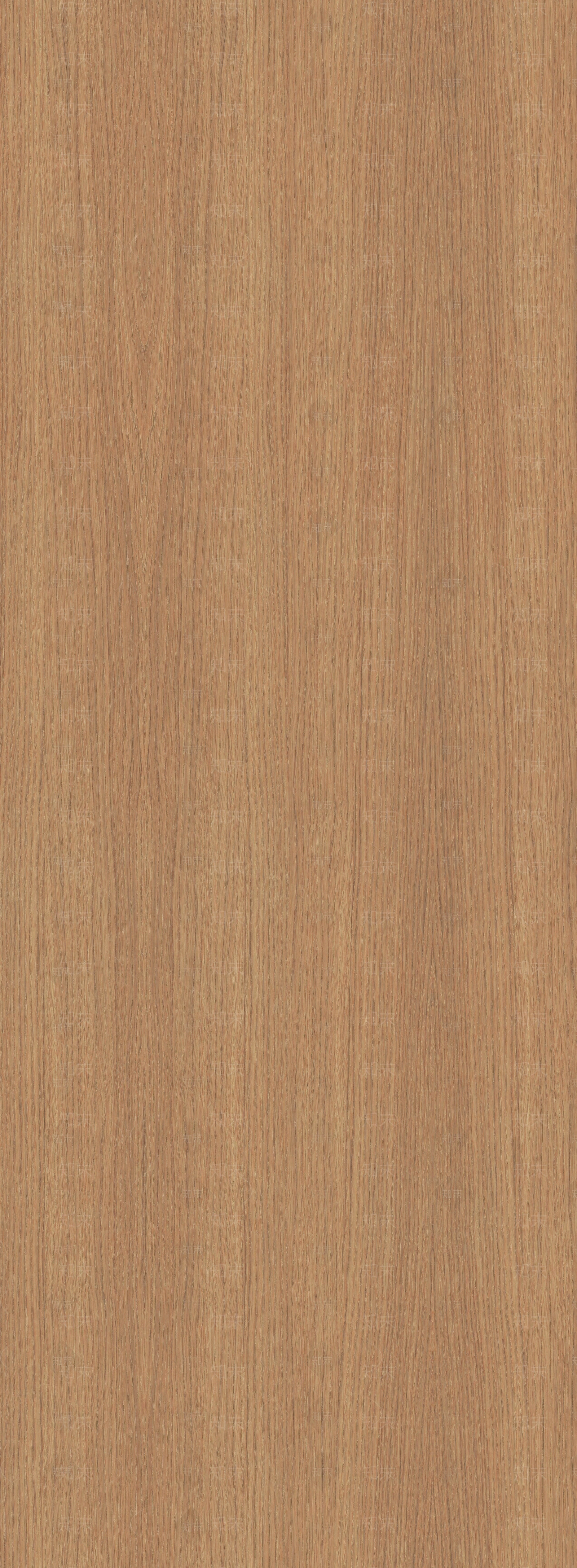 原木奶油橡木贴图下载【ID:1201217095】