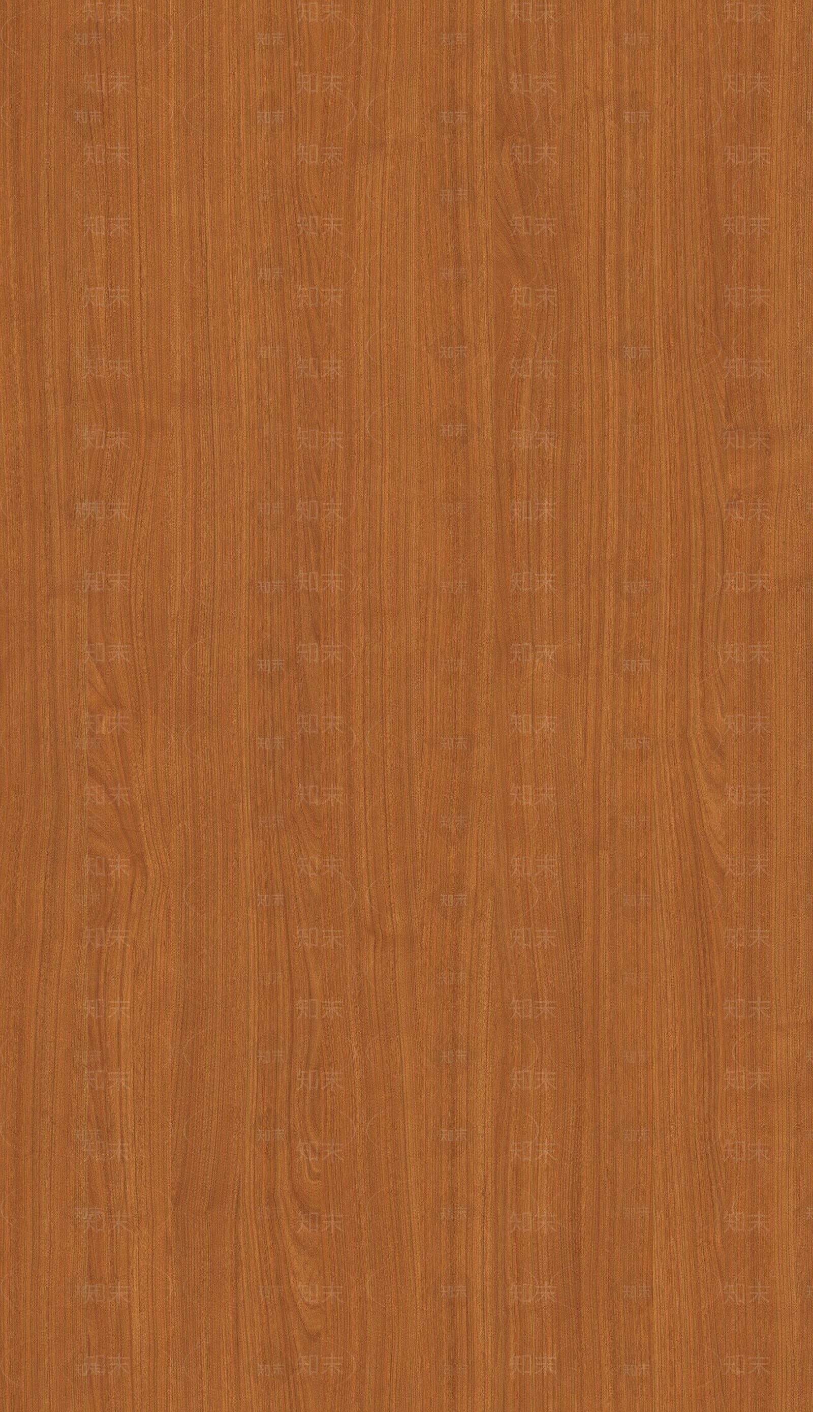 原木奶油浅色木纹贴图下载【ID:1201219421】