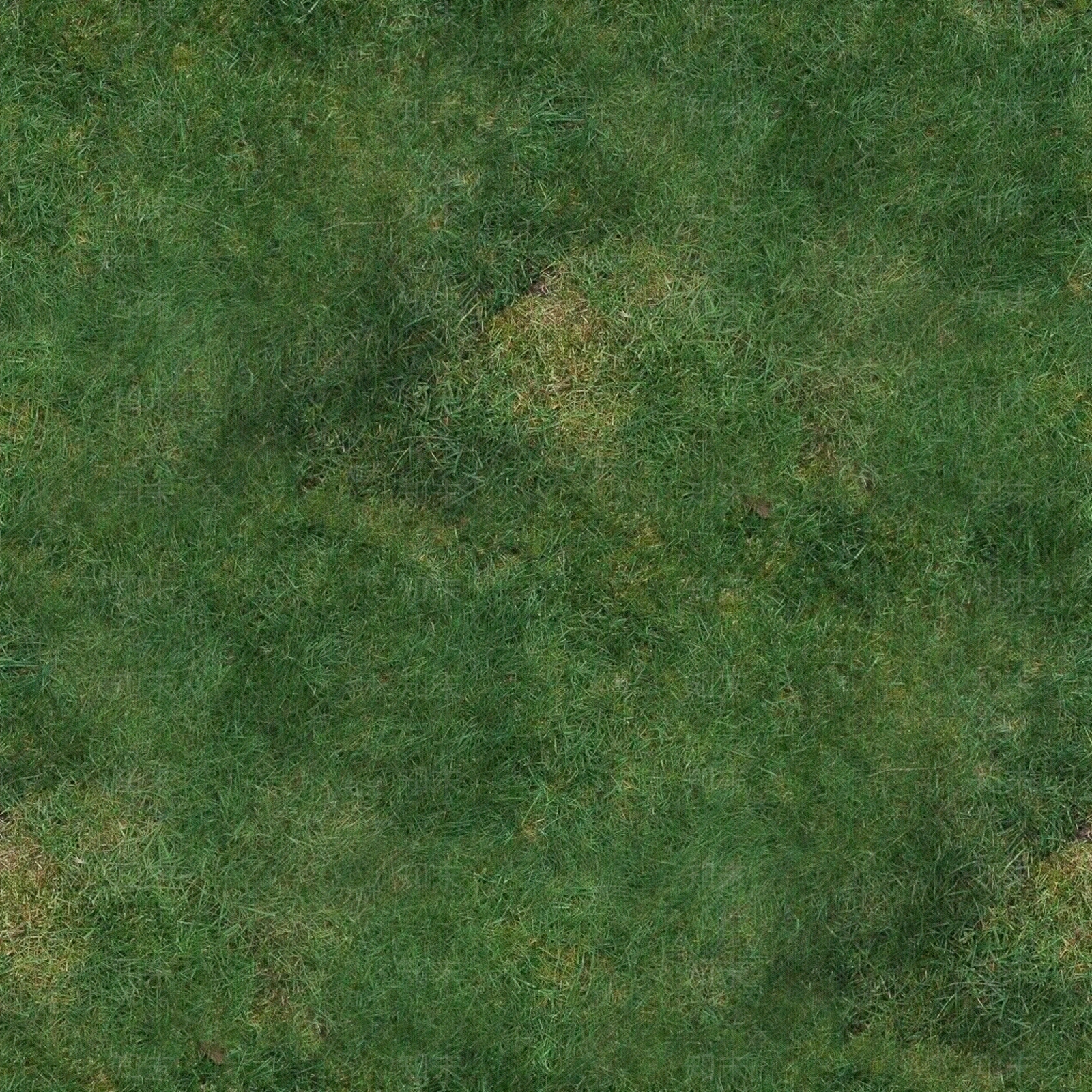自然地面贴图下载【ID:1201263930】