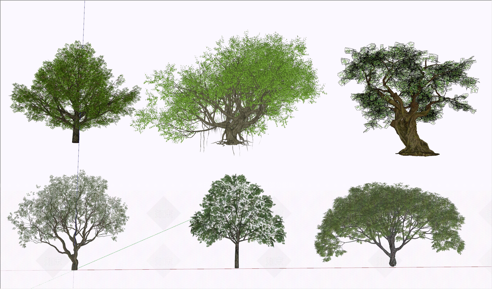 现代其他植物SU模型下载【ID:1201267126】