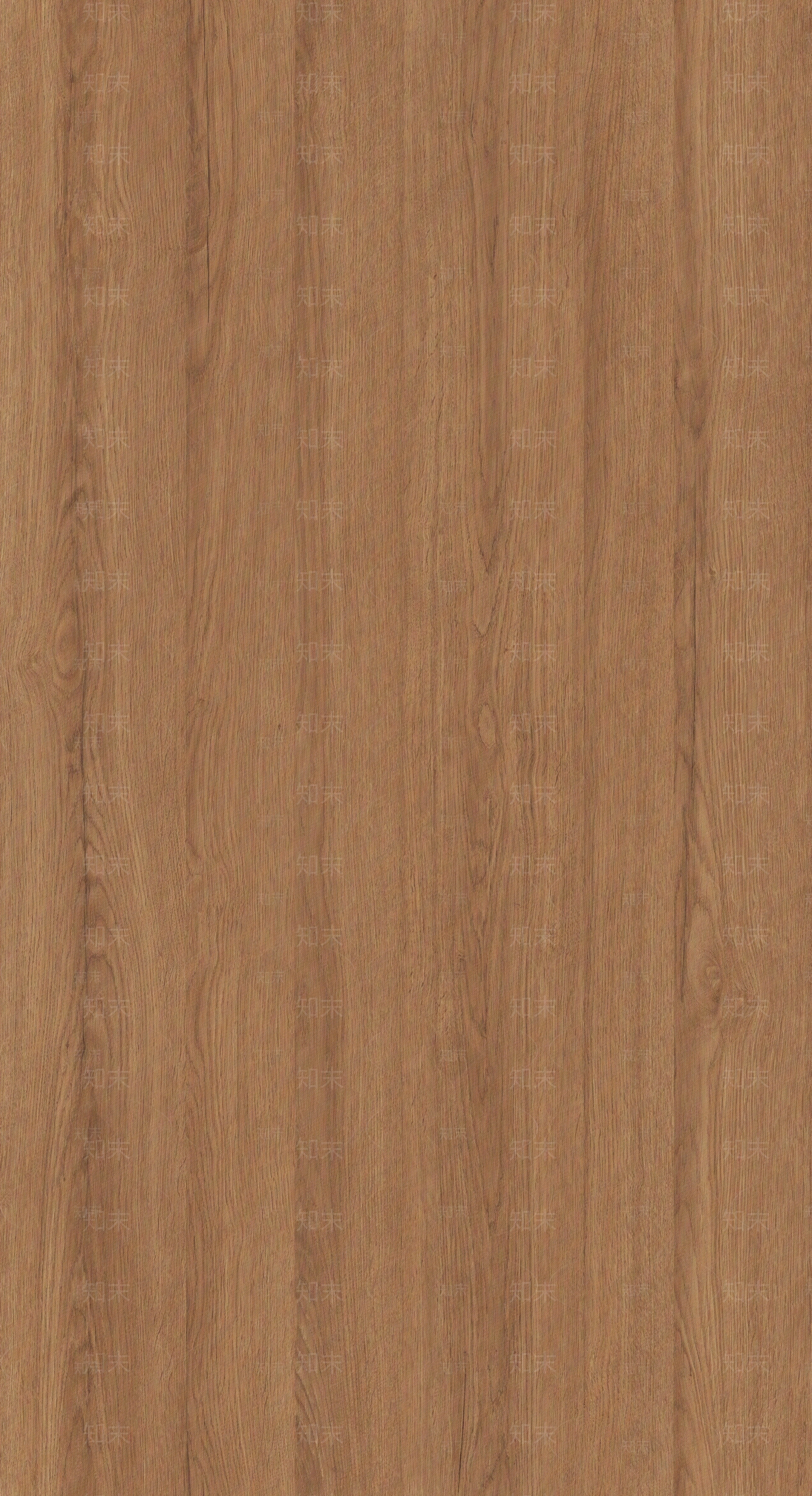 奶油原木橡木贴图下载【ID:1201298426】