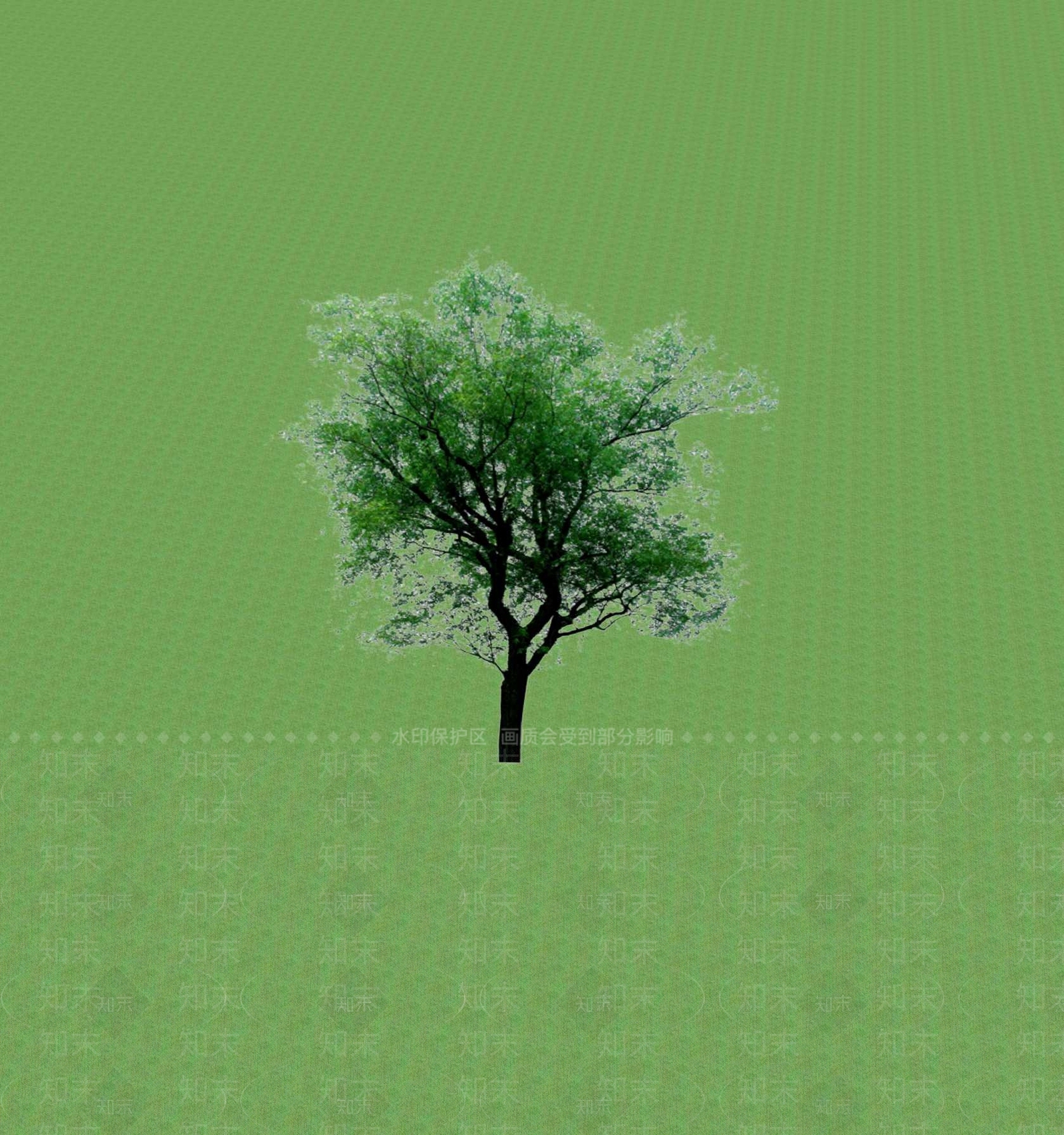 2D乔木SU模型下载【ID:1201365193】