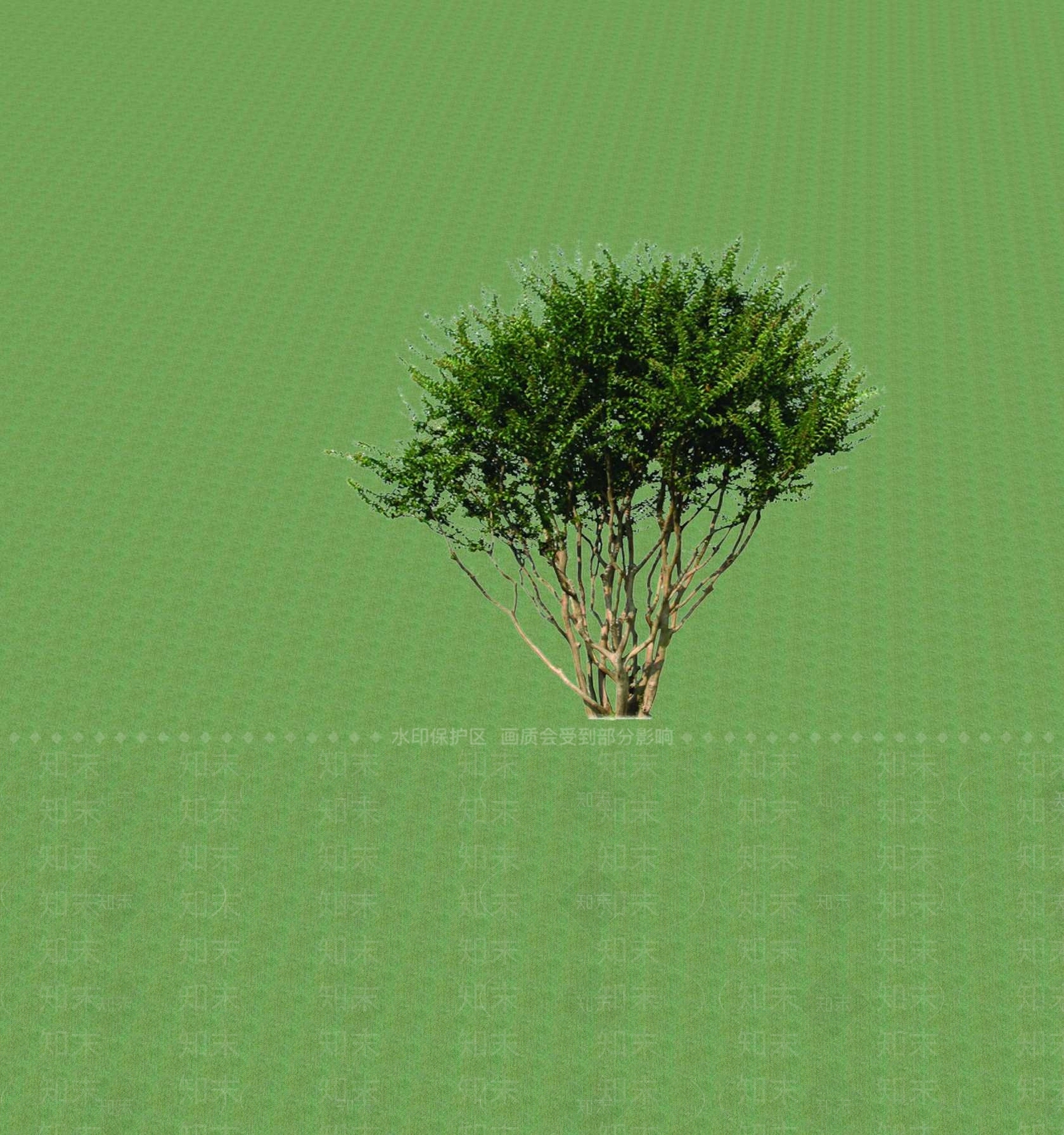 2D乔木SU模型下载【ID:1201365125】