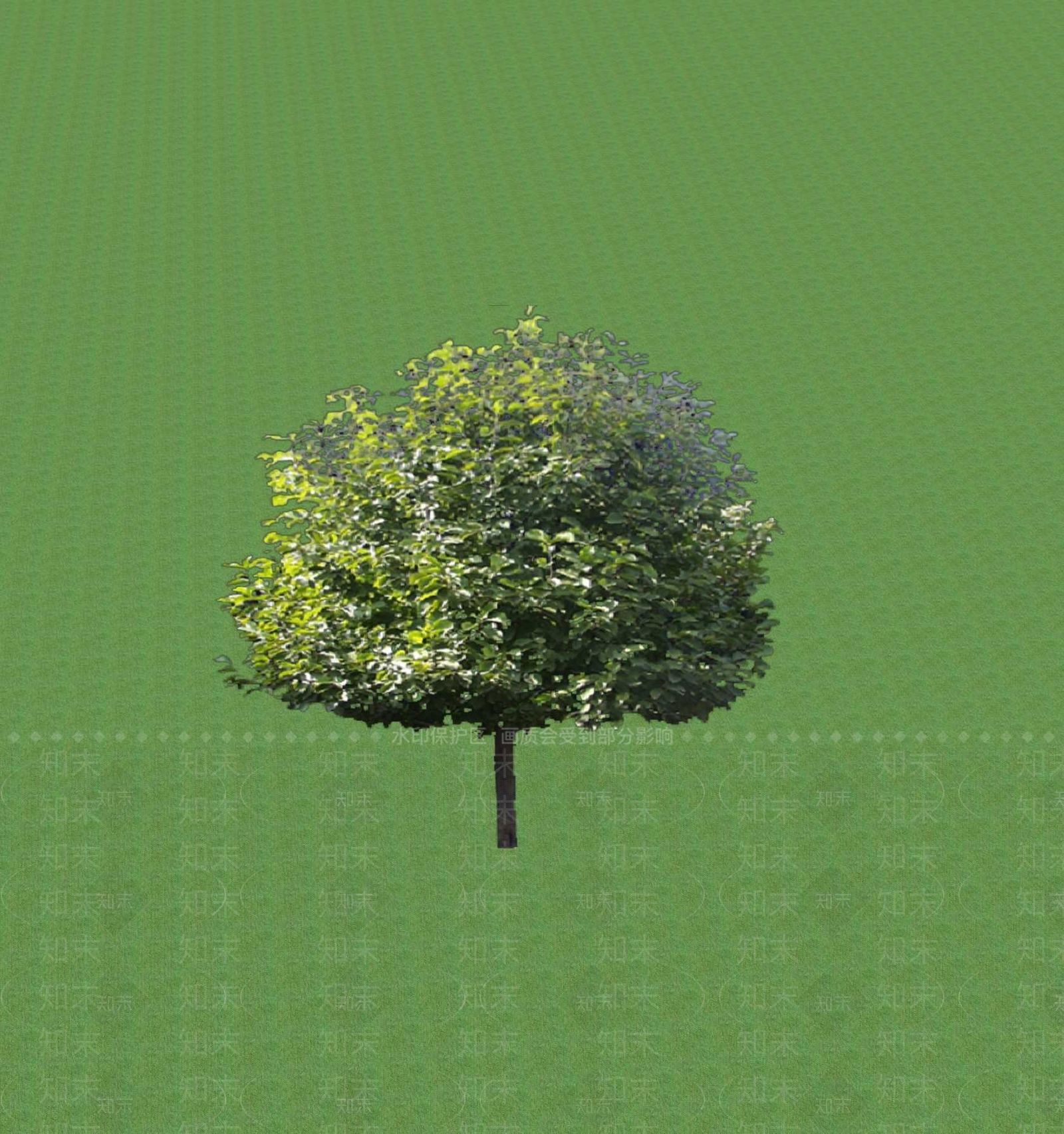 2D乔木SU模型下载【ID:1201365225】