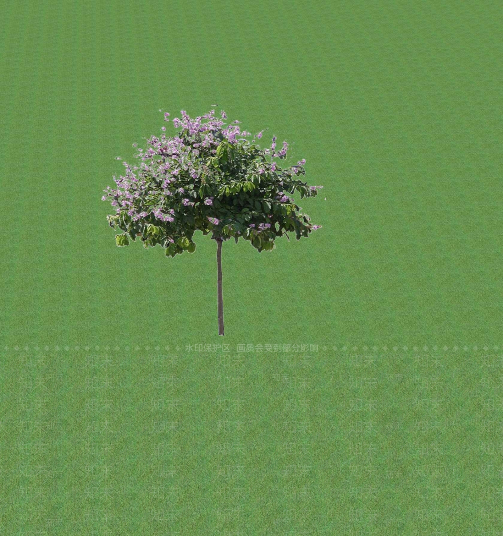 2D乔木SU模型下载【ID:1201365287】