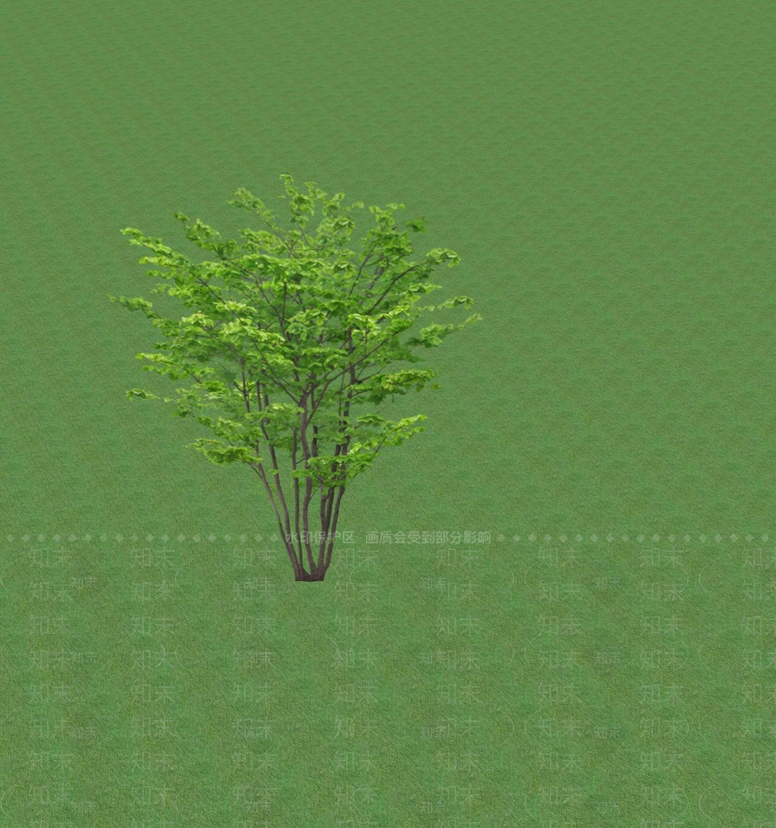 2D乔木SU模型下载【ID:1201365445】