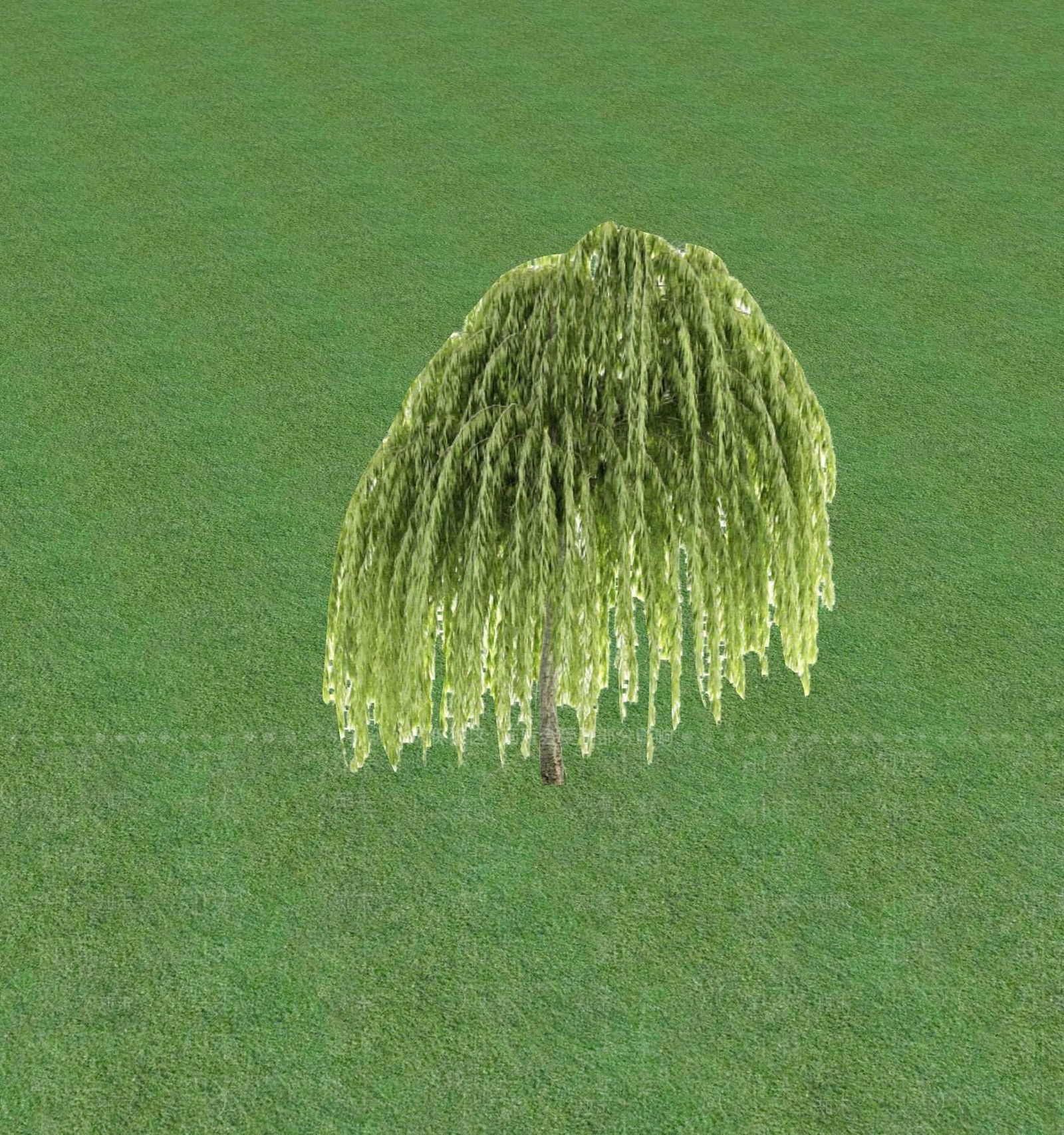 2D乔木SU模型下载【ID:1201365534】