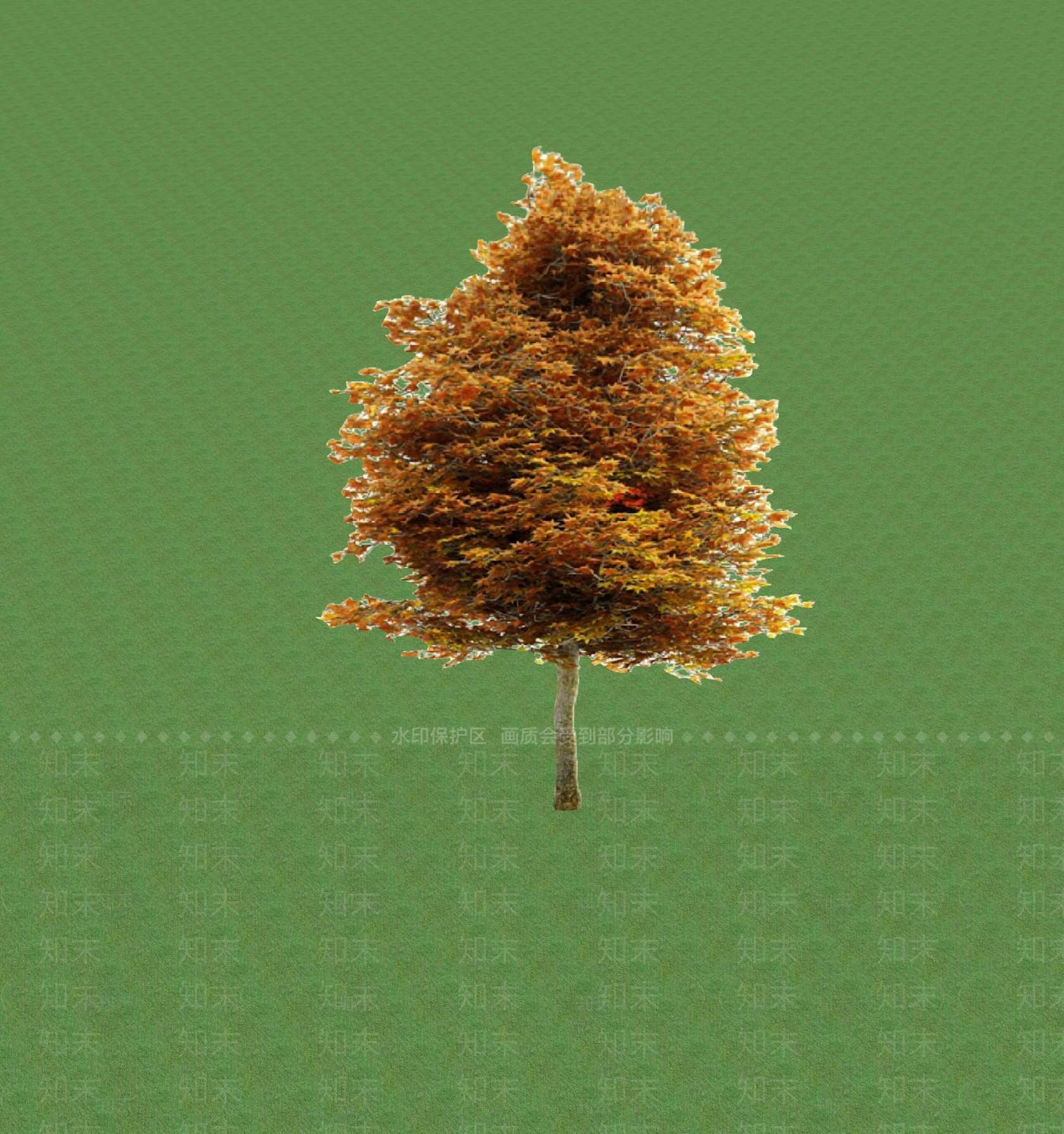2D乔木SU模型下载【ID:1201365649】