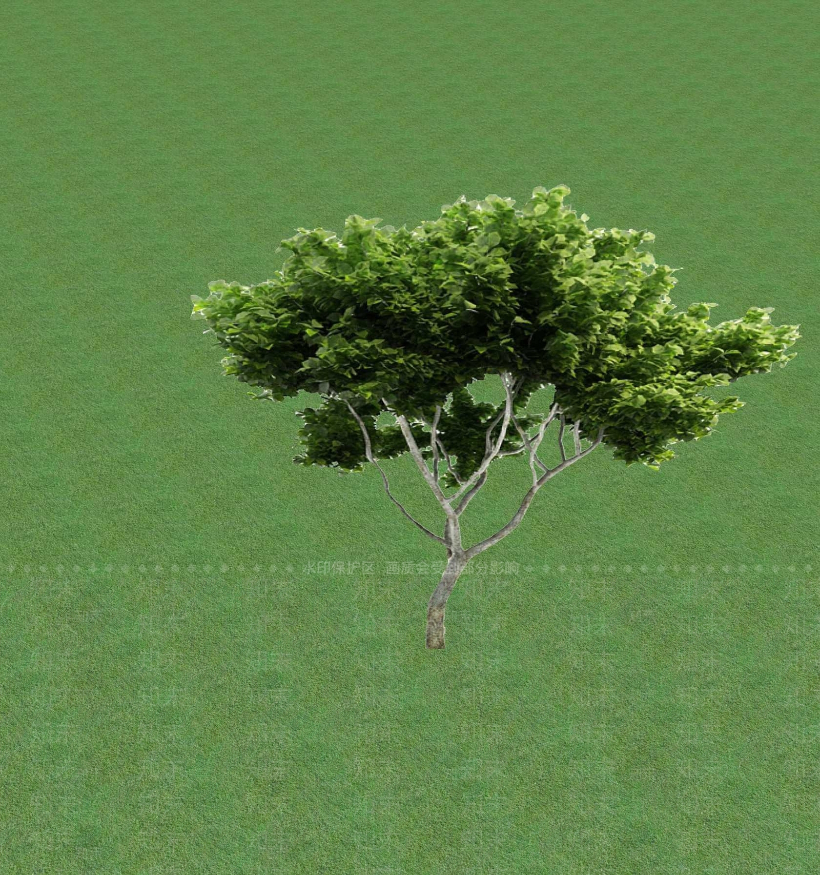 2D乔木SU模型下载【ID:1201365721】