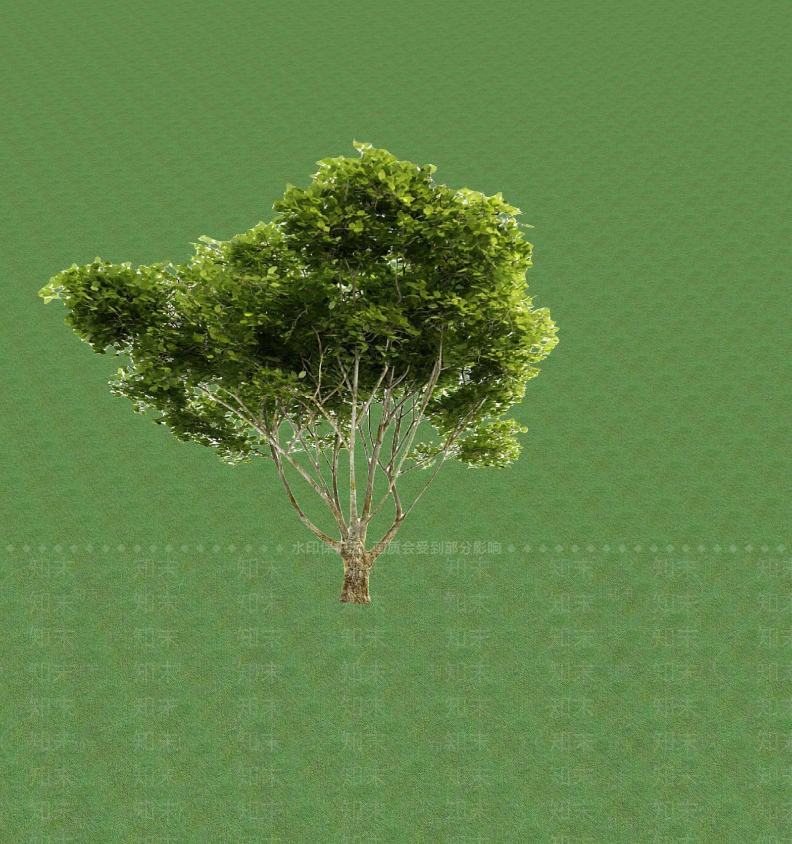 2D乔木SU模型下载【ID:1201365703】
